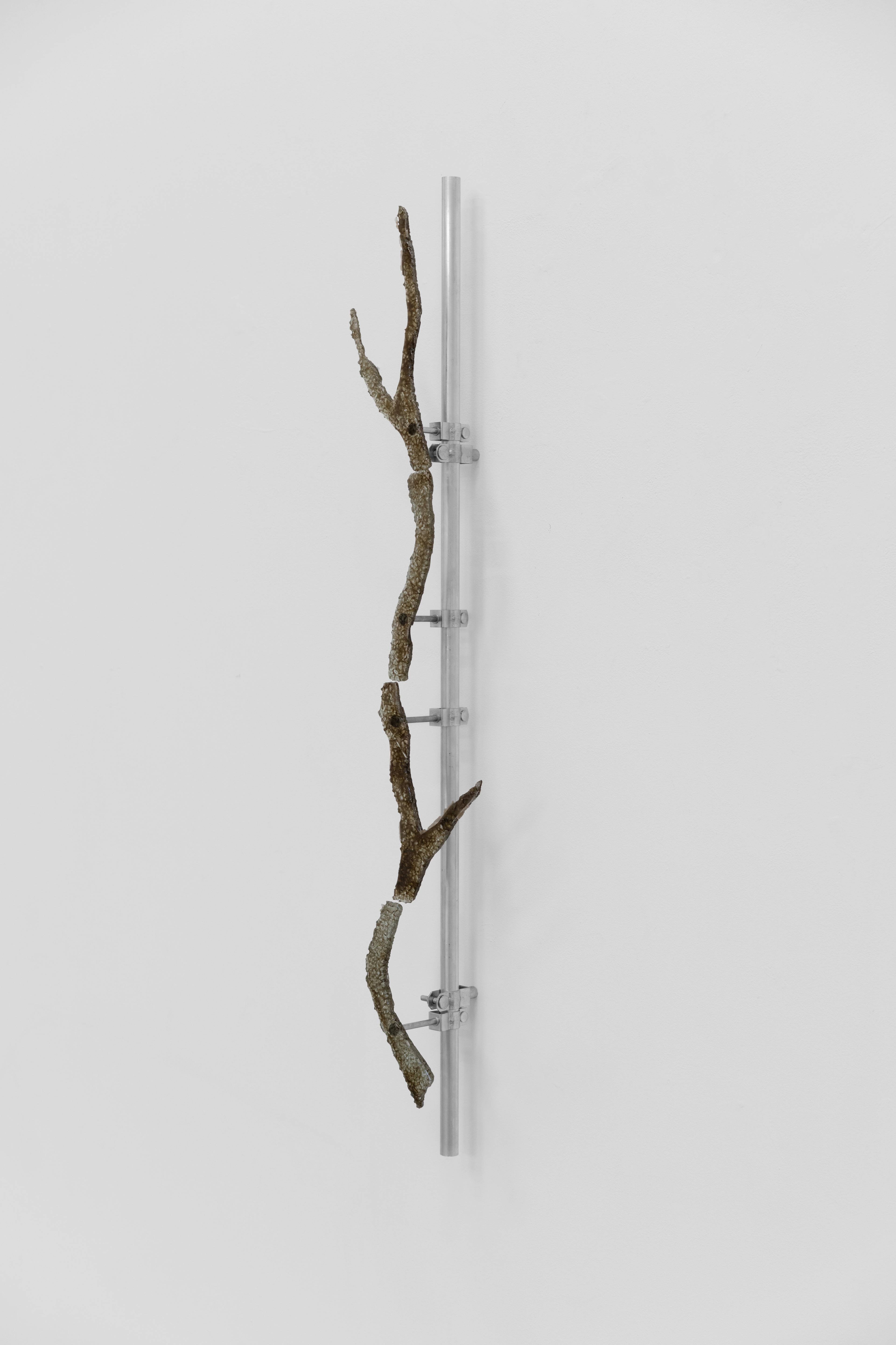 Media © Sweetwater 2025