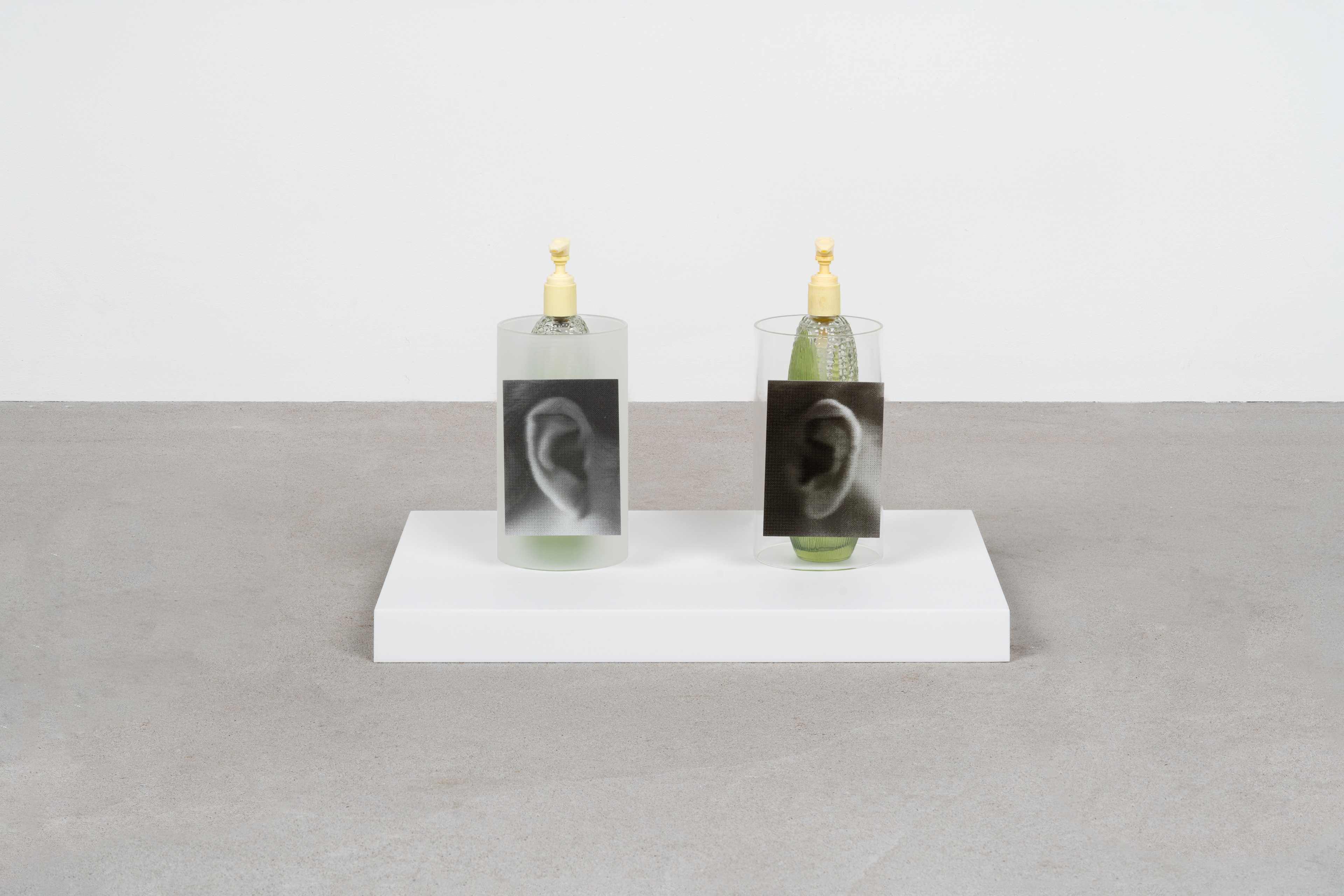 Jesse Stecklow