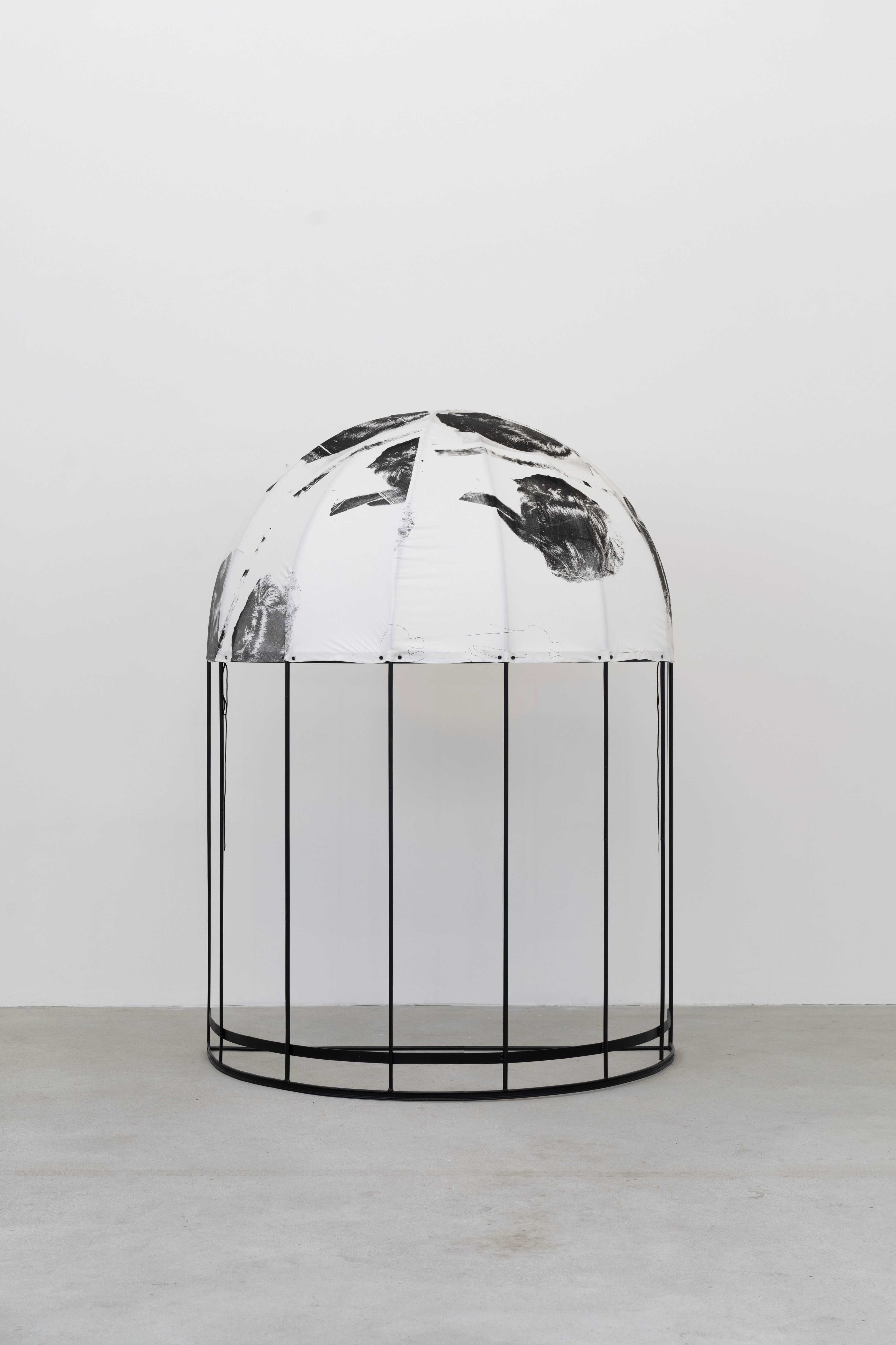 Hanna Stiegeler