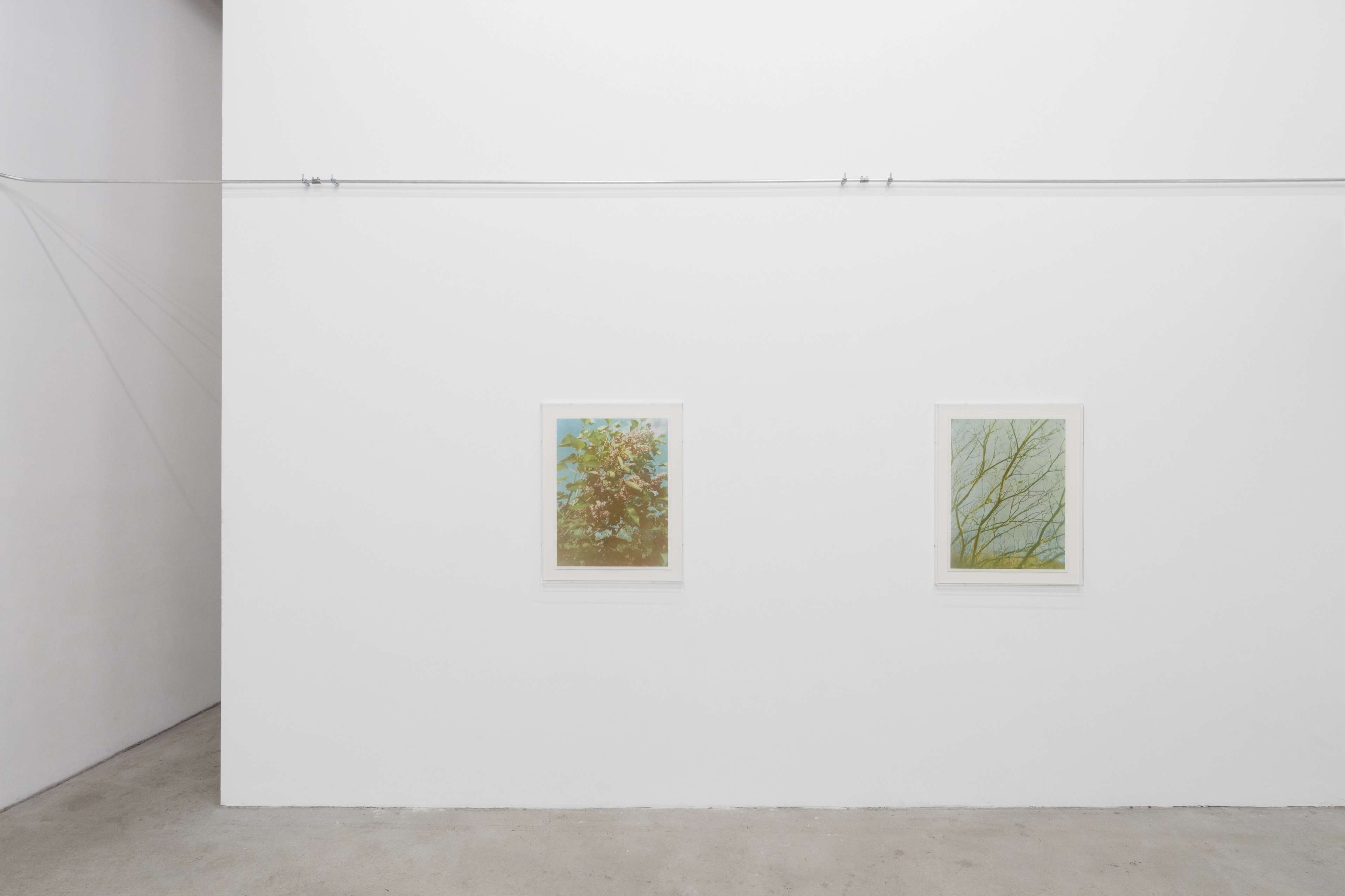 Media © Sweetwater 2025