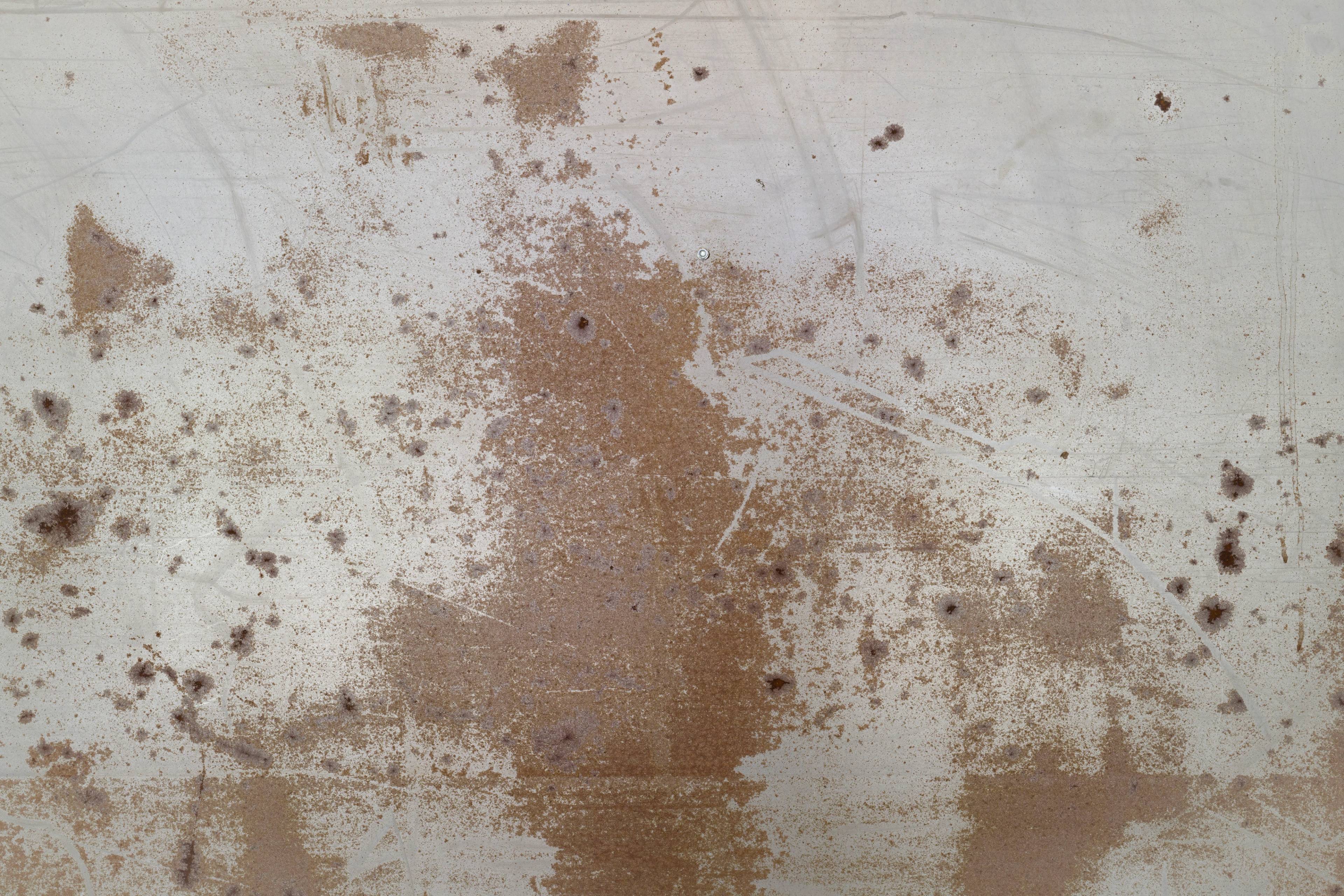 Media © Sweetwater 2025