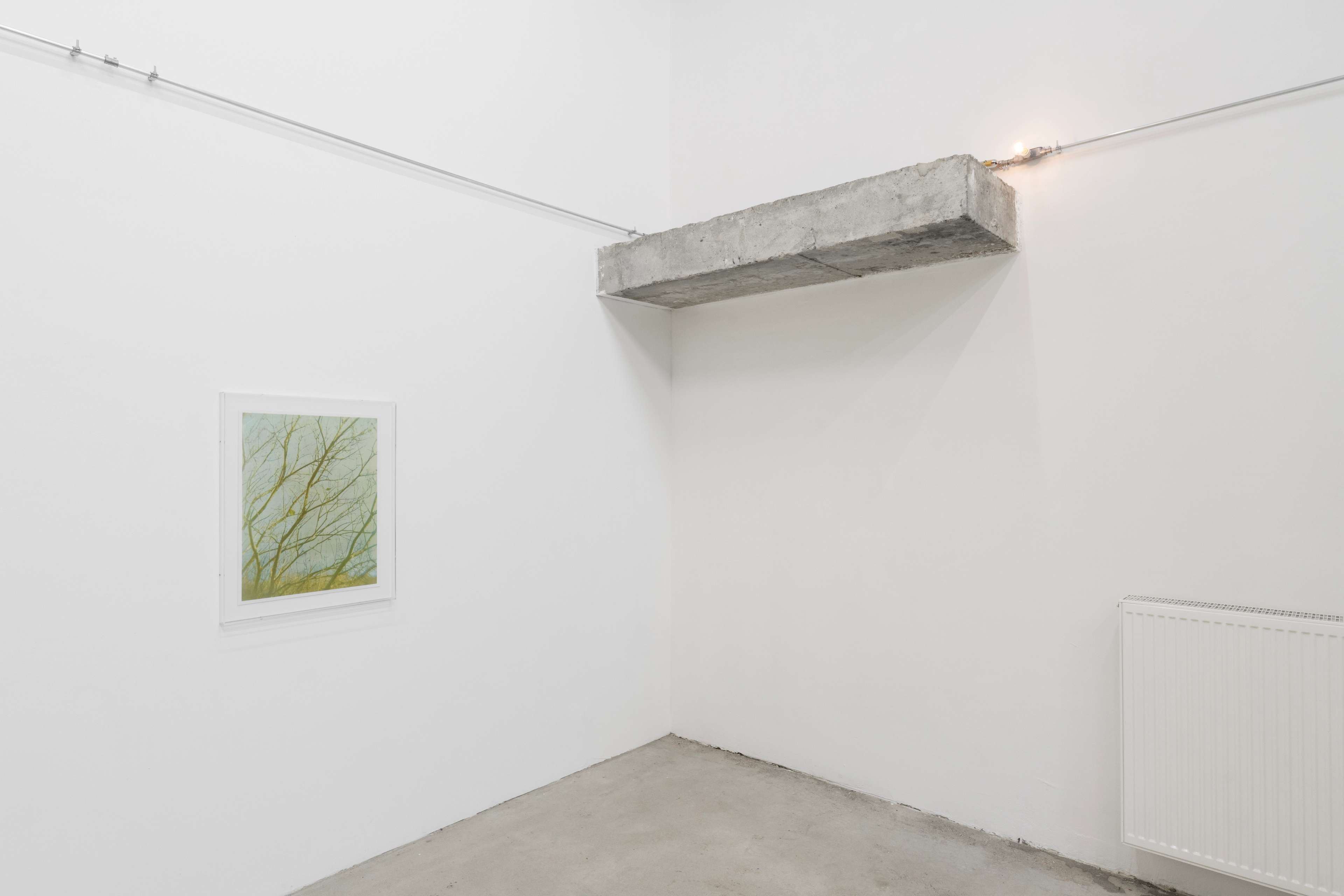 Media © Sweetwater 2025