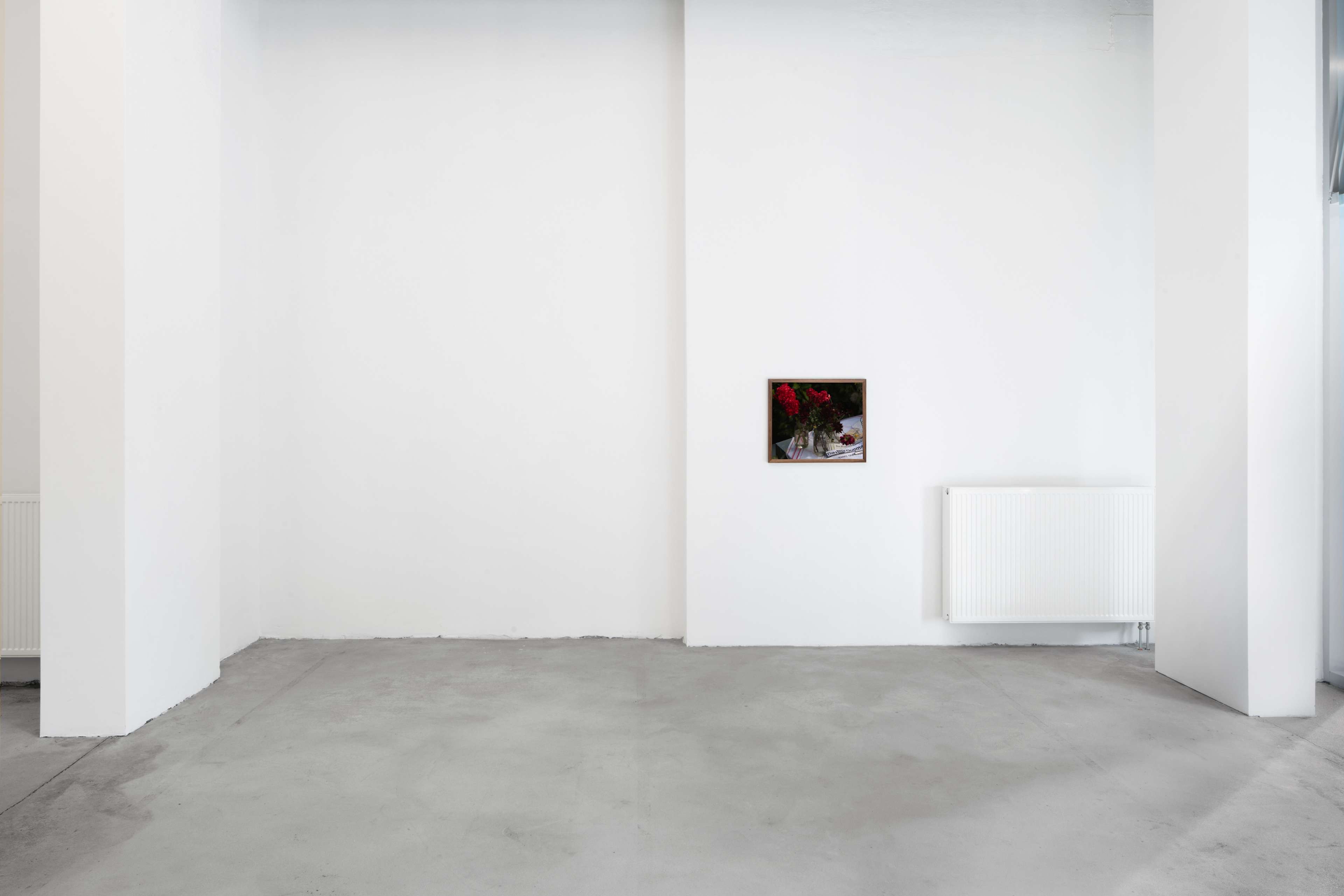 Media © Sweetwater 2025