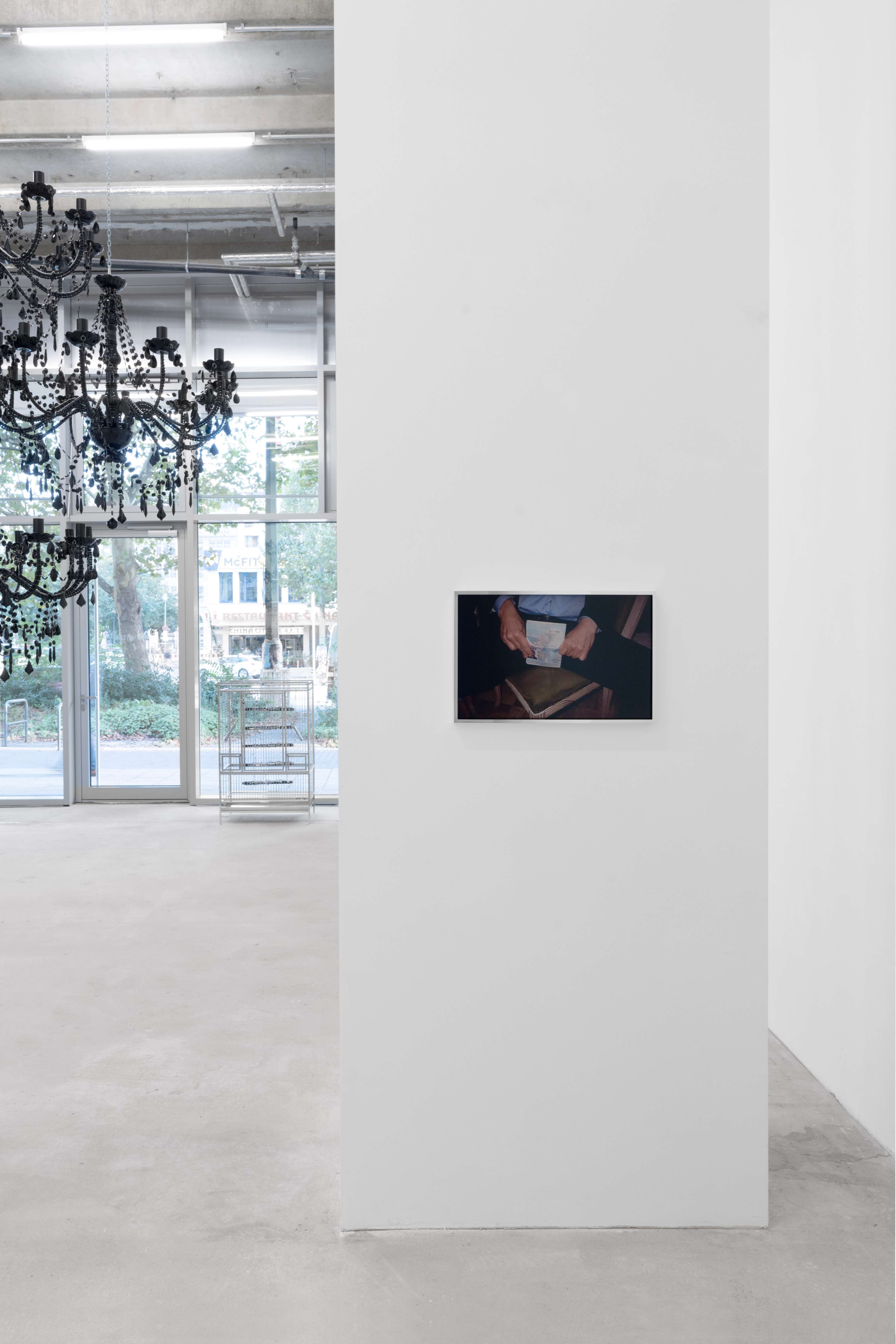 Media © Sweetwater 2025