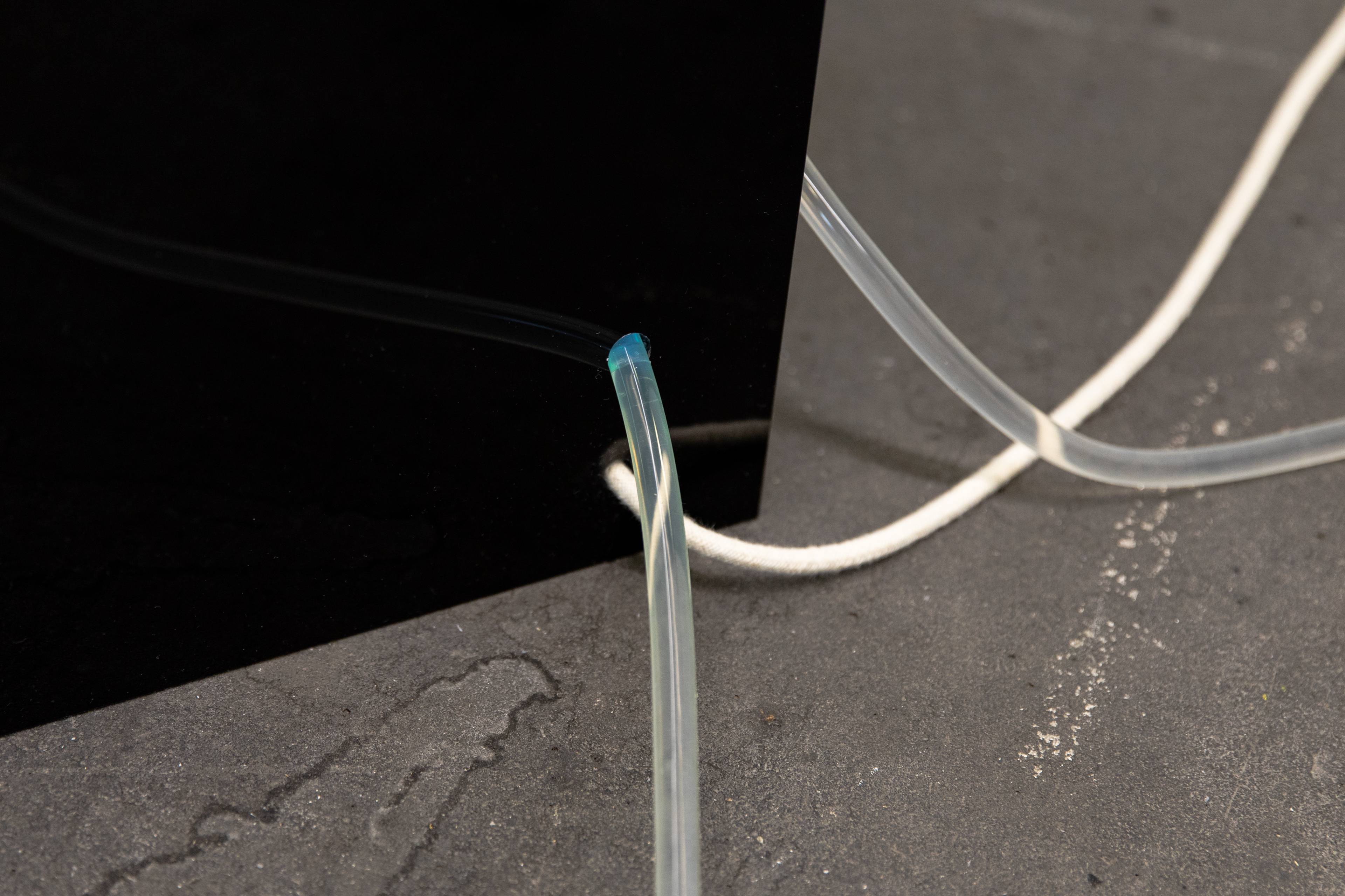 Media © Sweetwater 2025