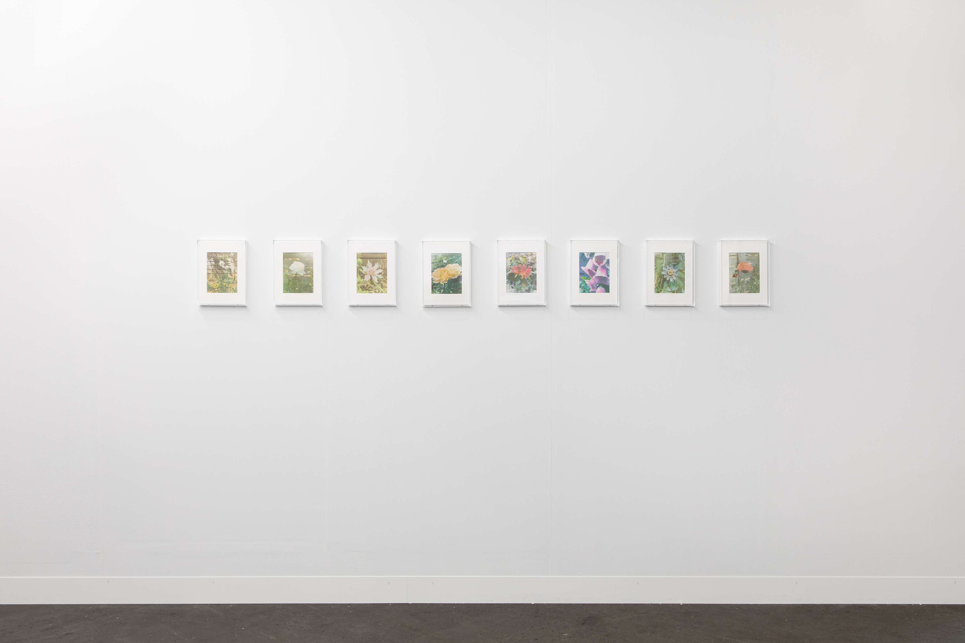 Media © Sweetwater 2025