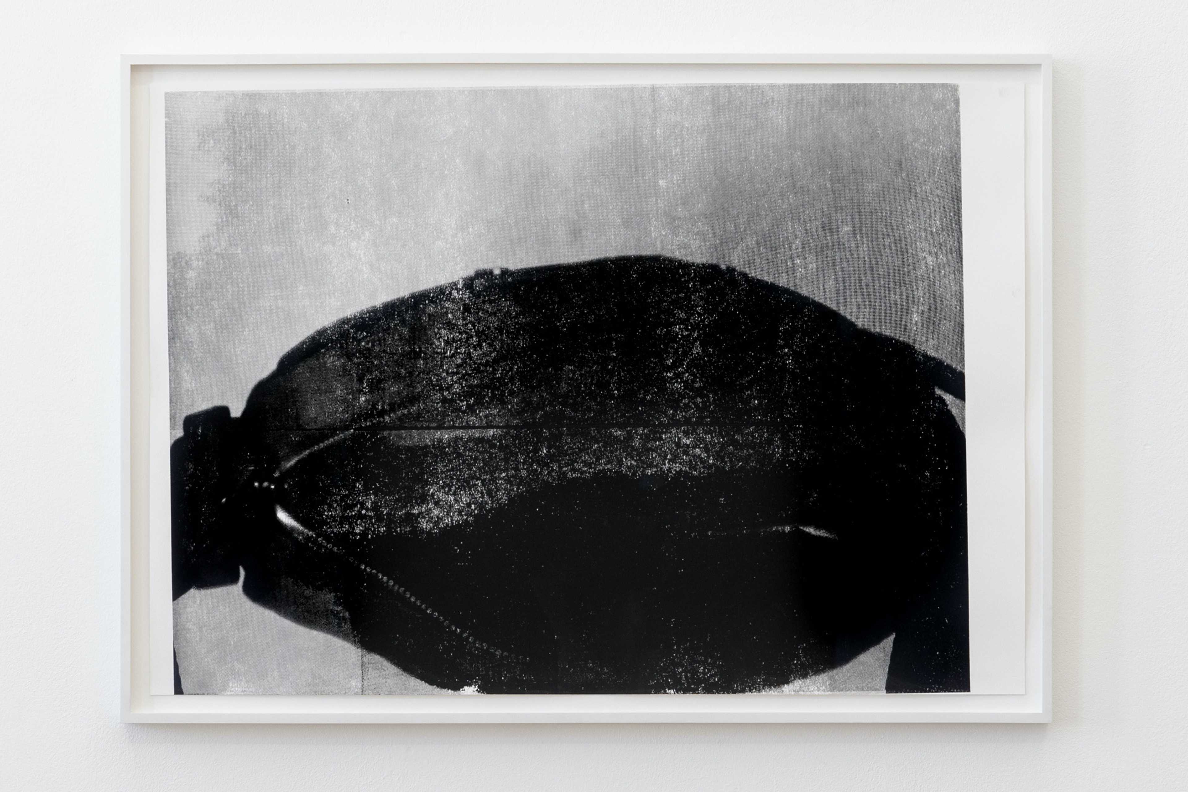 Hanna Stiegeler