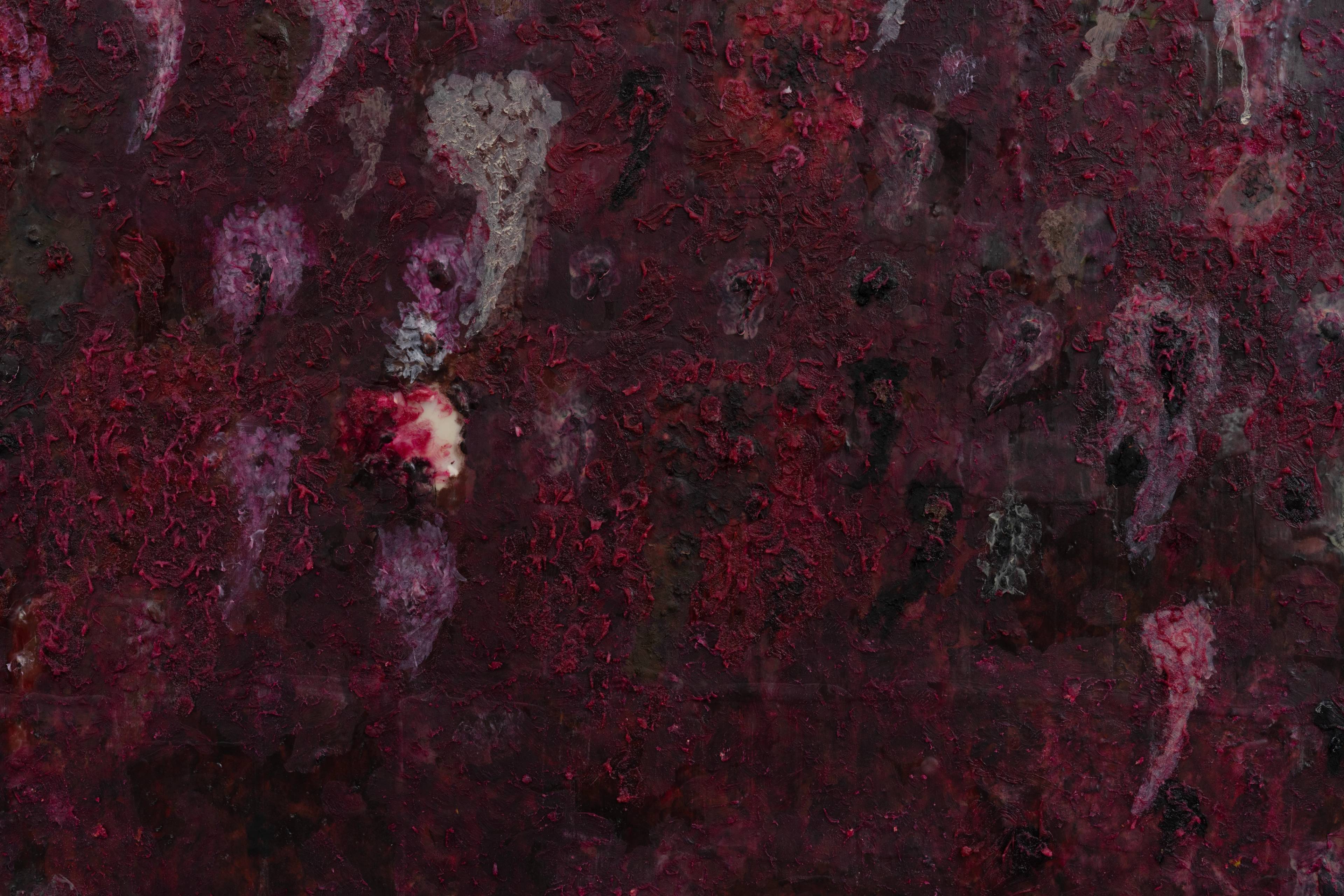 Media © Sweetwater 2025