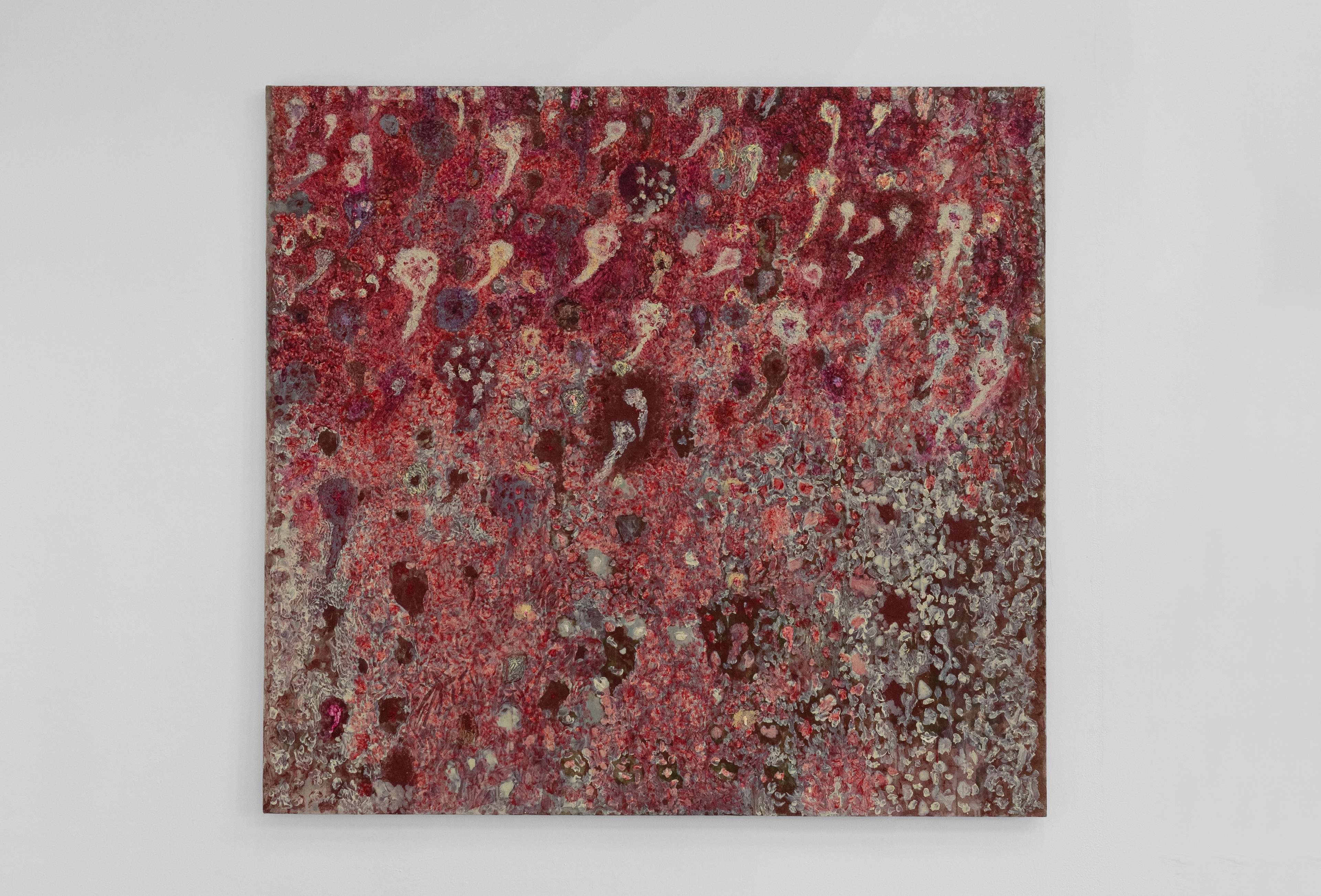 Media © Sweetwater 2025