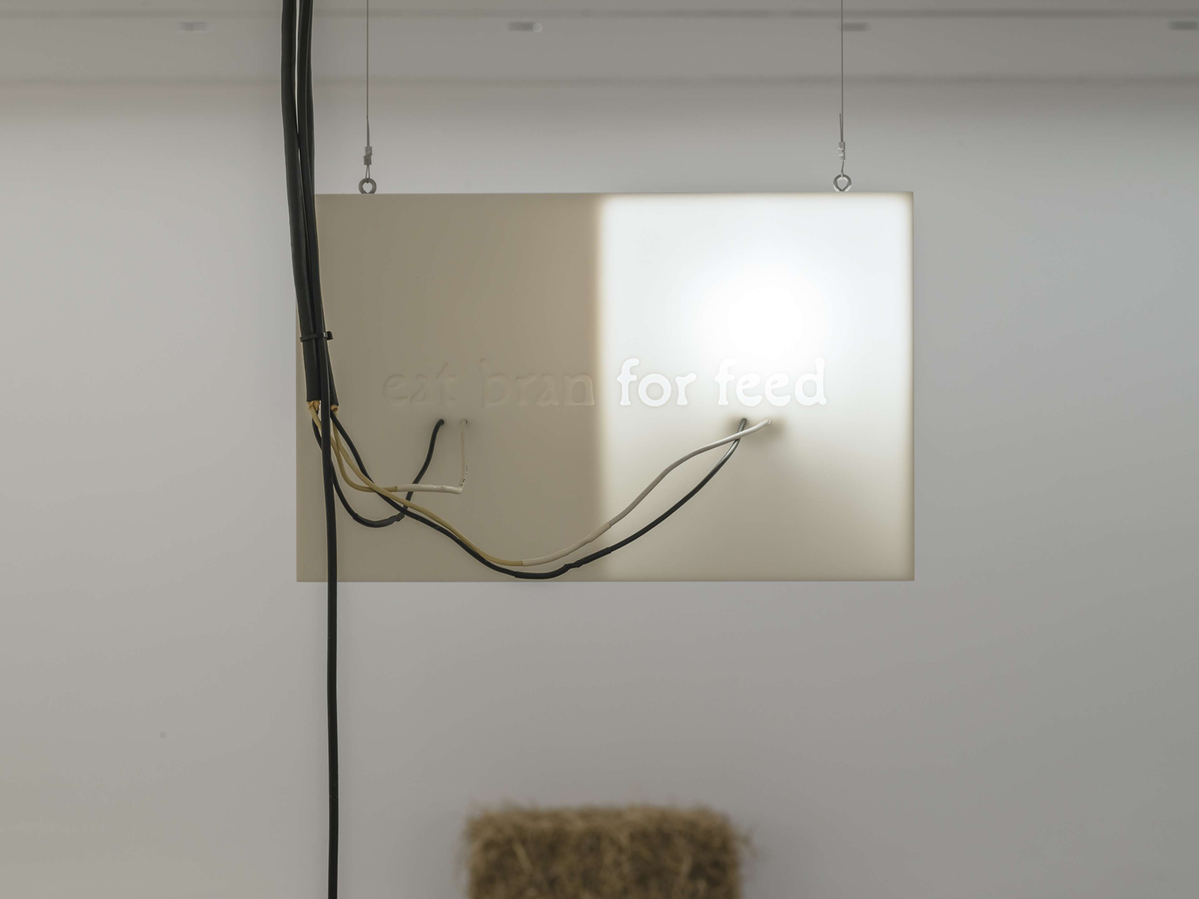 Media © Sweetwater 2025