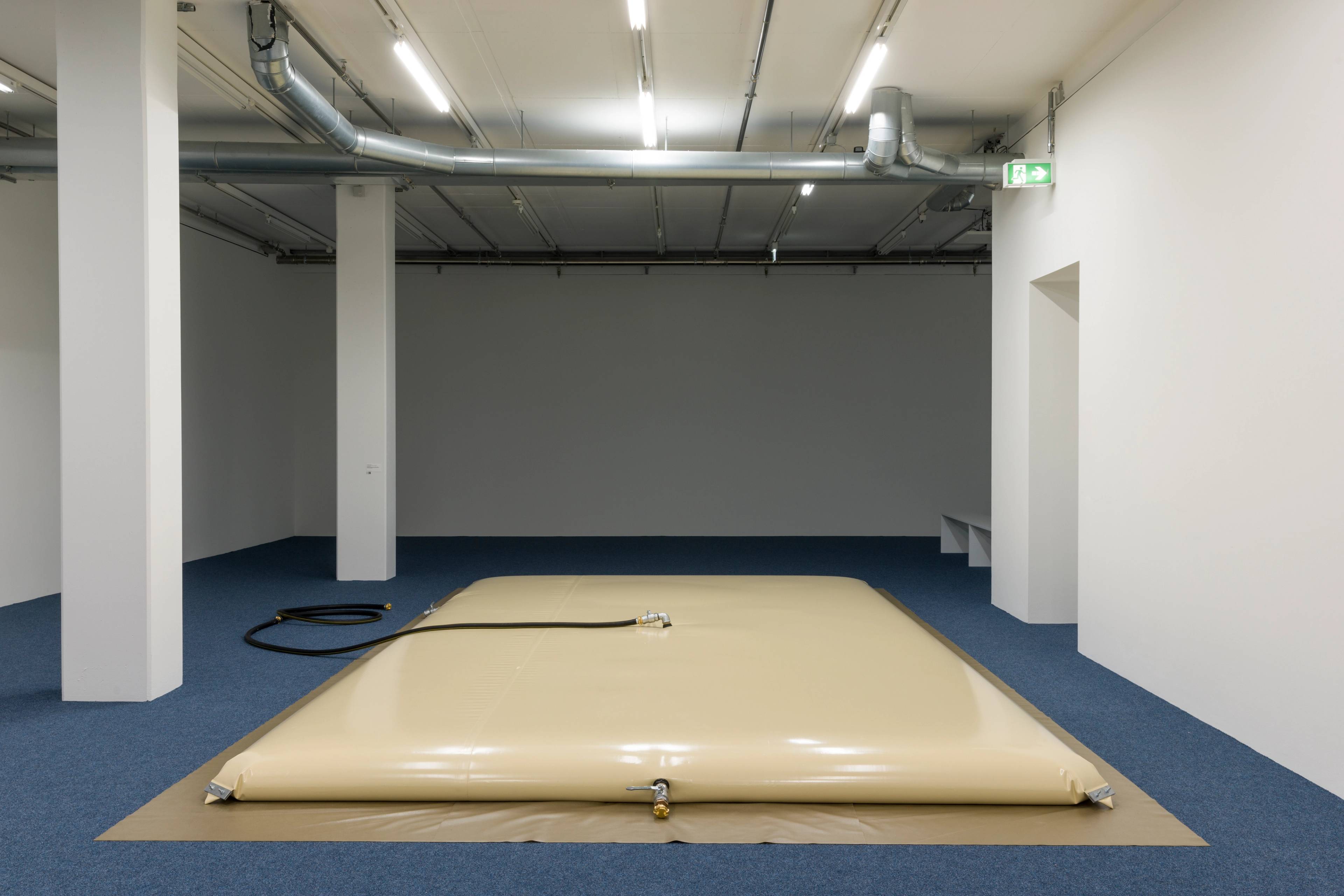 Media © Sweetwater 2025