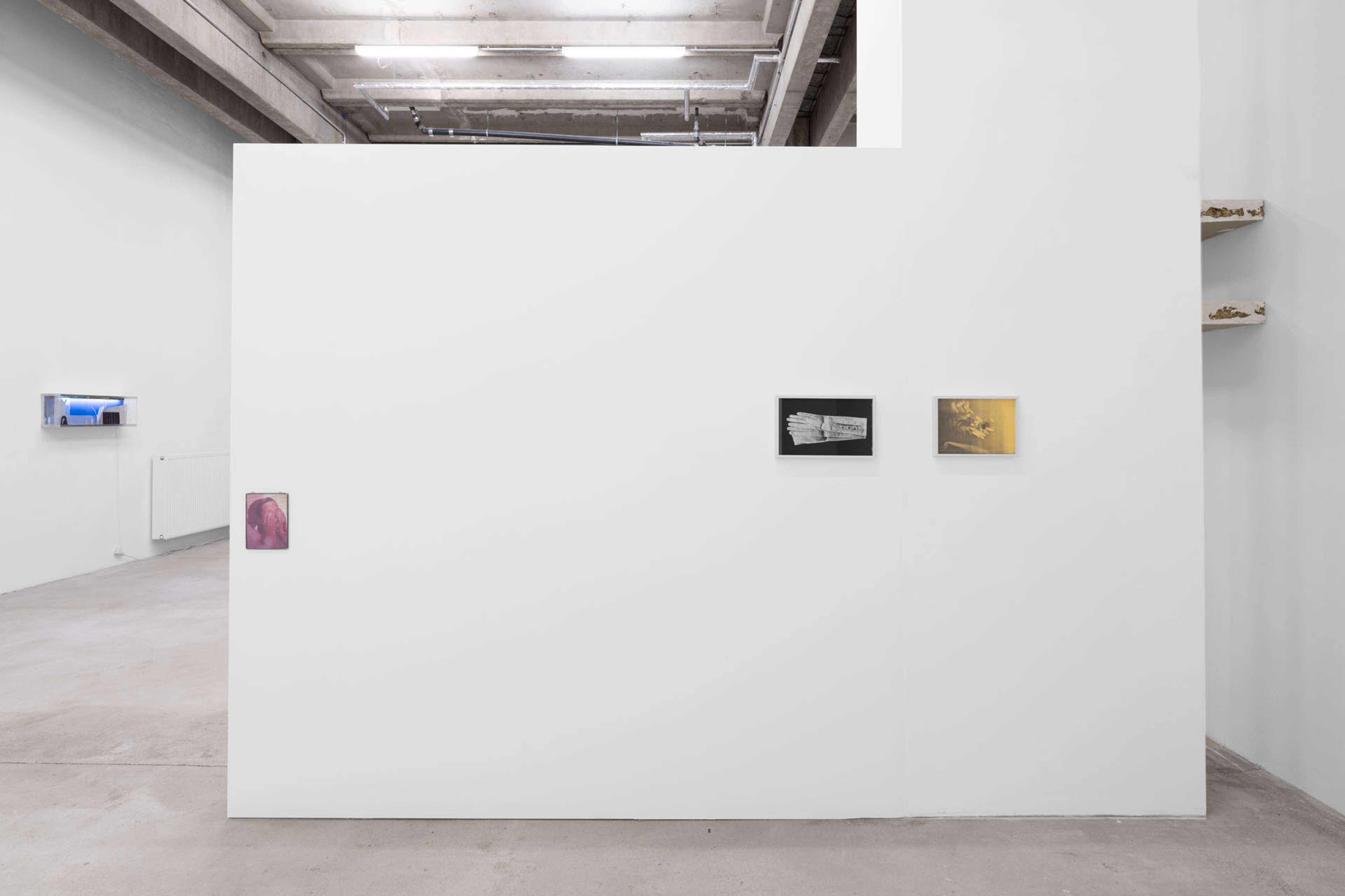 Media © Sweetwater 2025