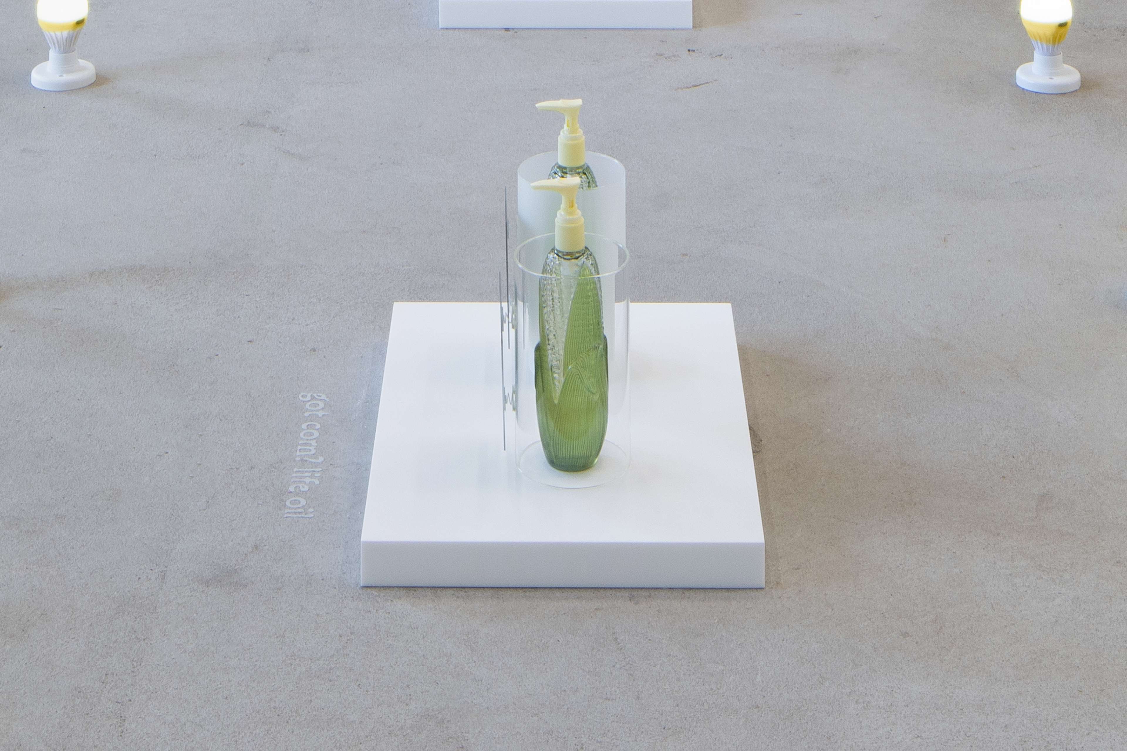 Media © Sweetwater 2025