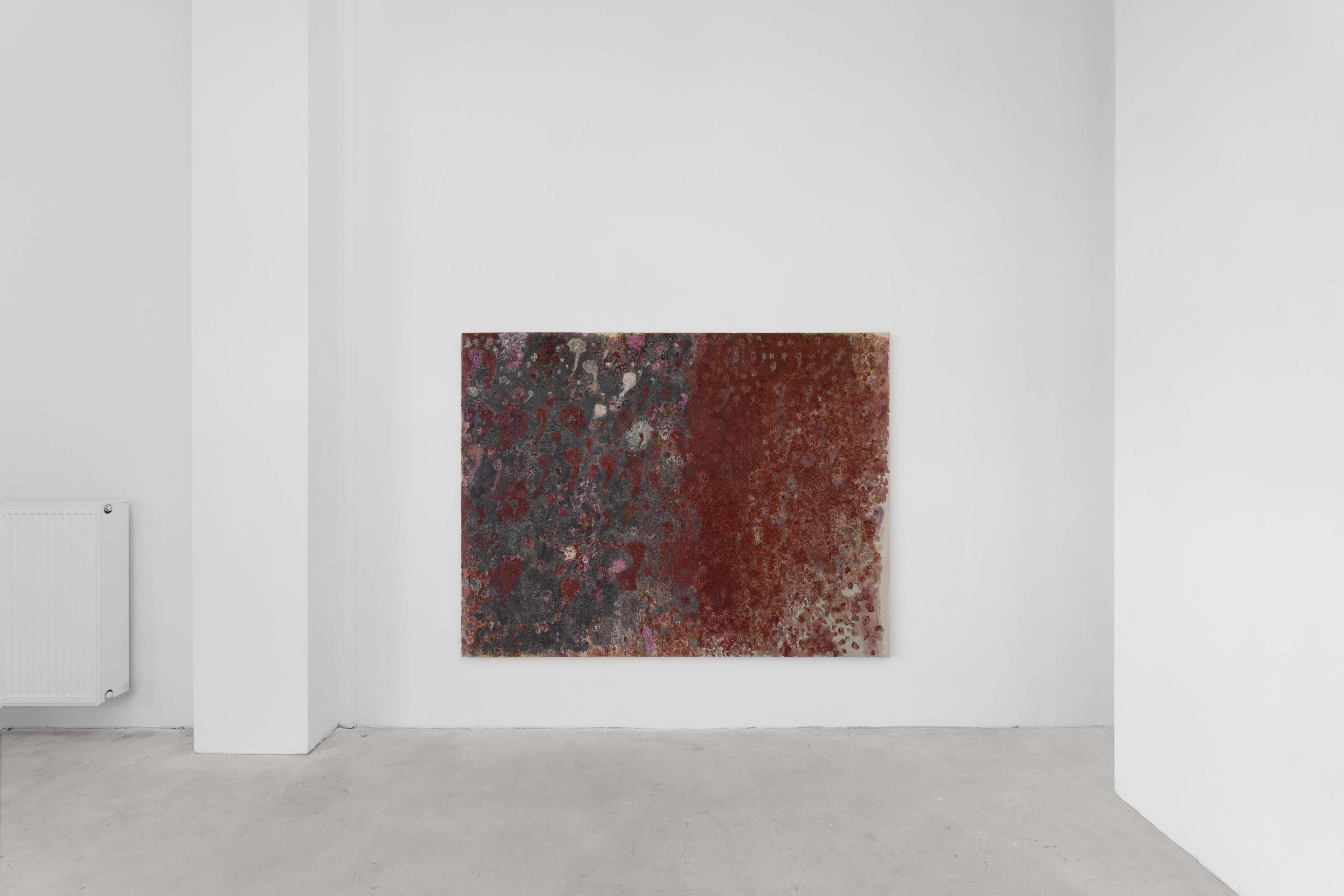 Media © Sweetwater 2025