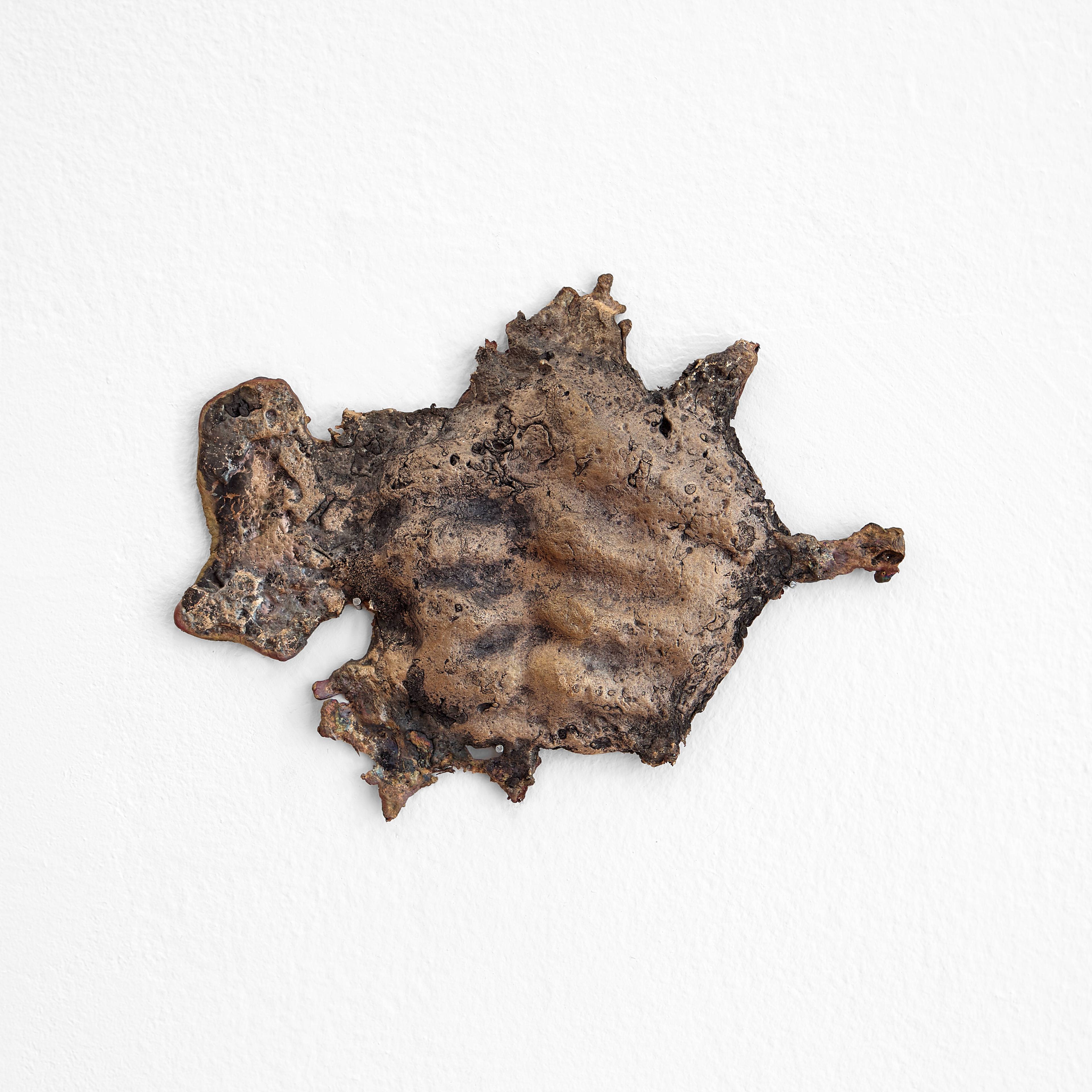 Media © Sweetwater 2025