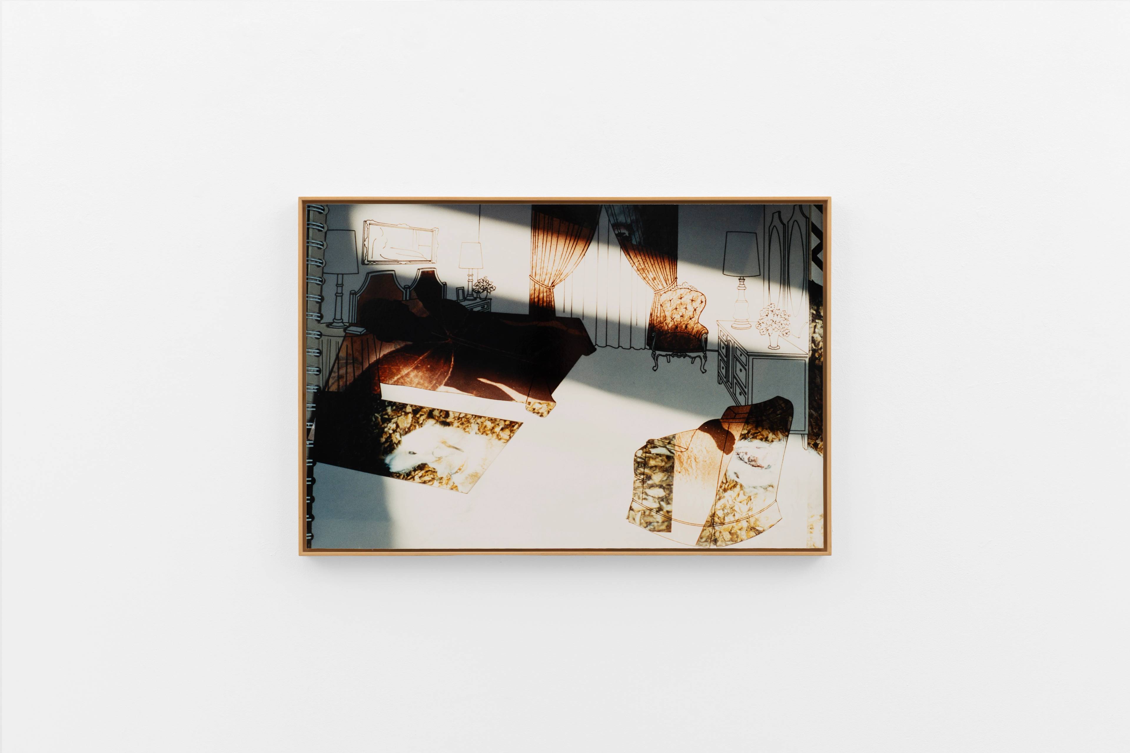 Media © Sweetwater 2025