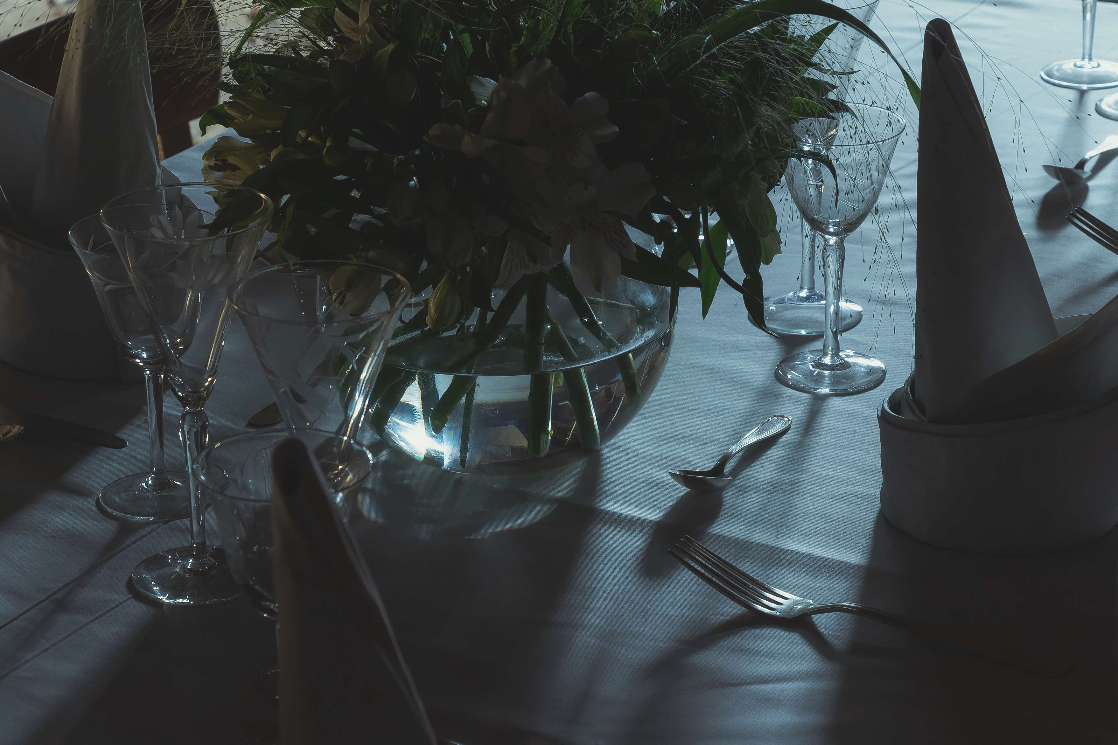 Media © Sweetwater 2025