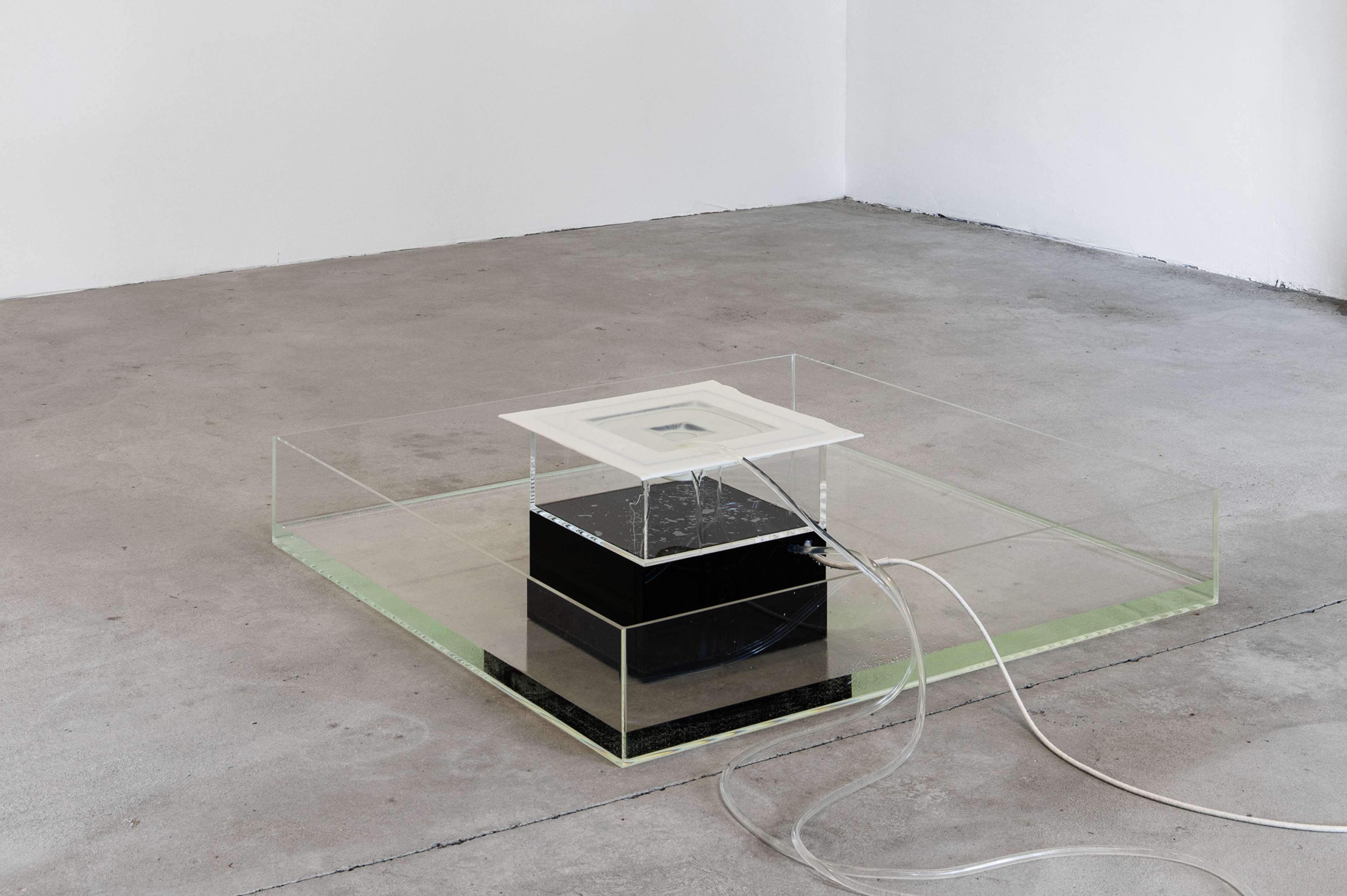 Media © Sweetwater 2025