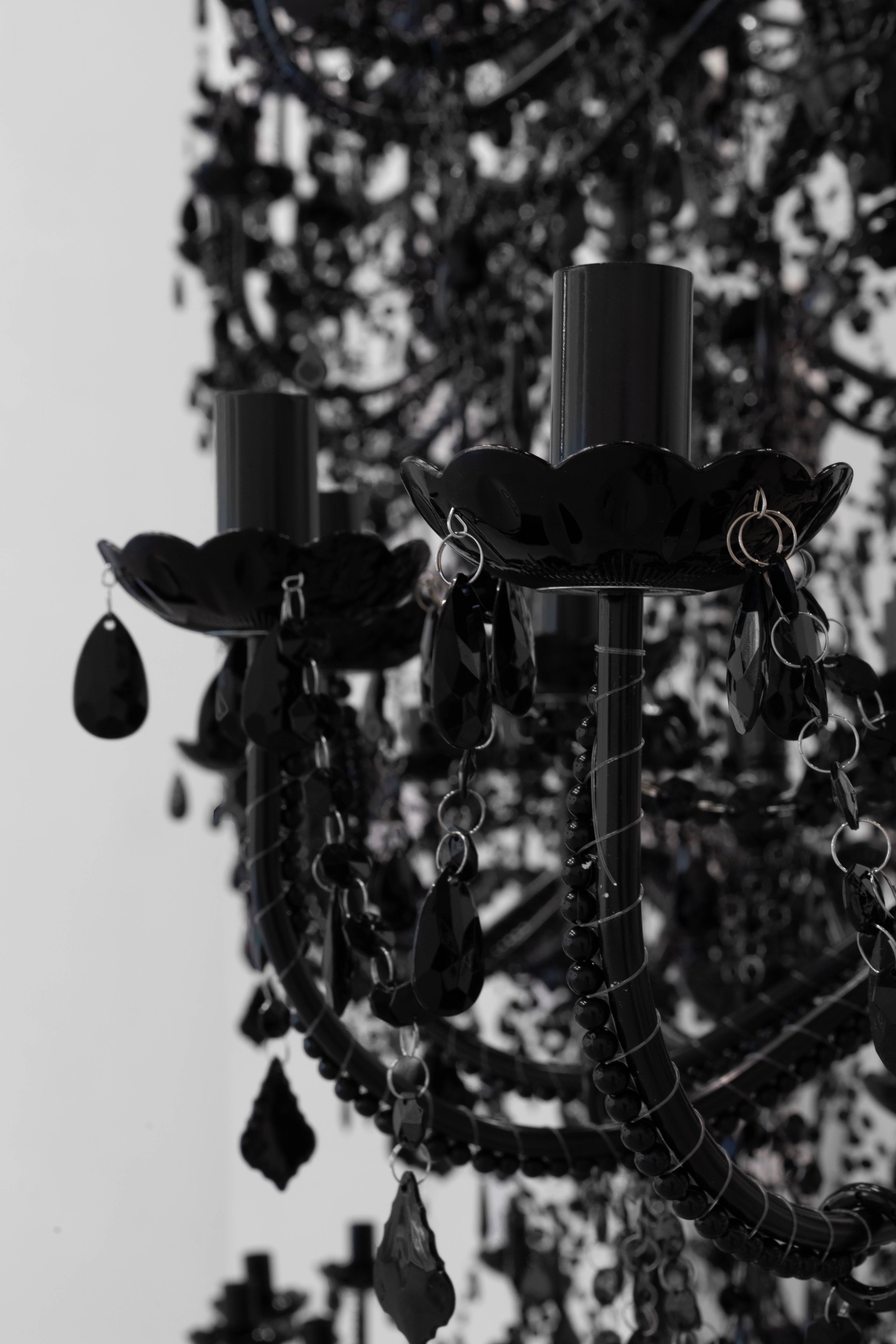 Media © Sweetwater 2025