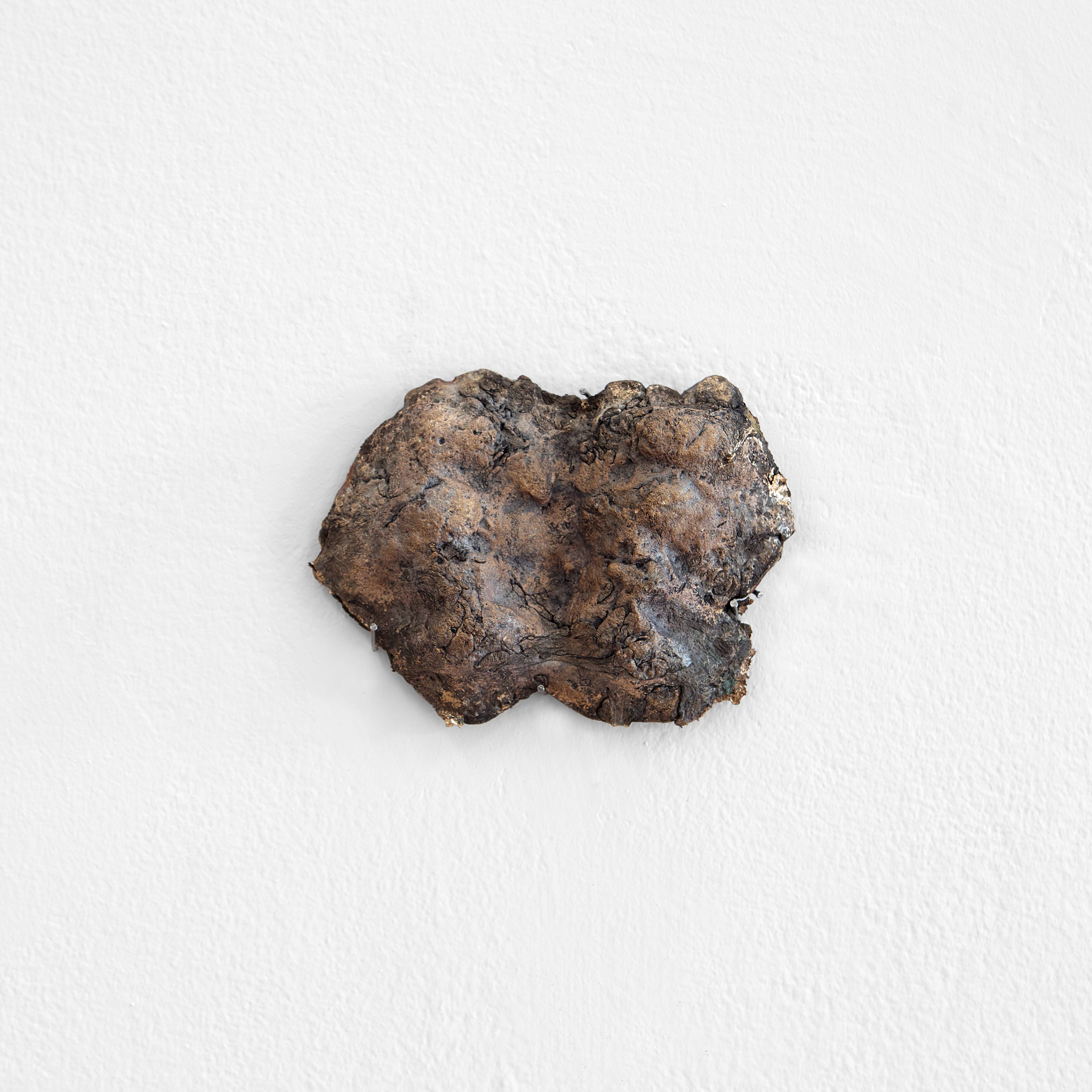 Media © Sweetwater 2025