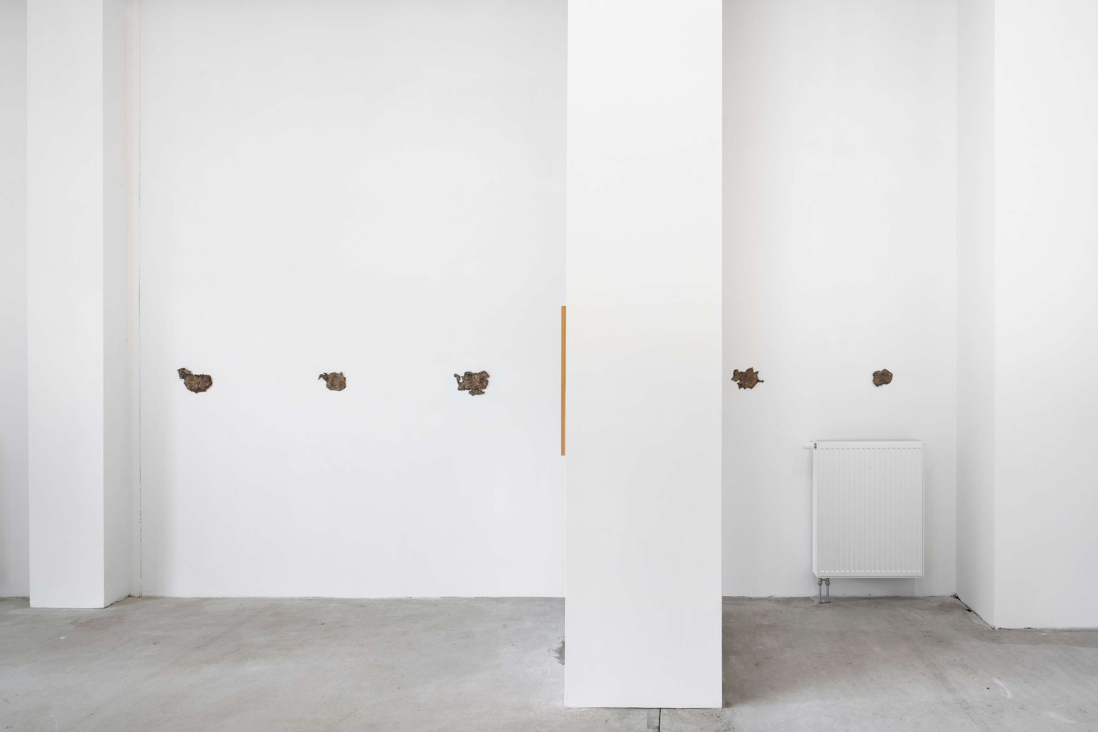 Media © Sweetwater 2025