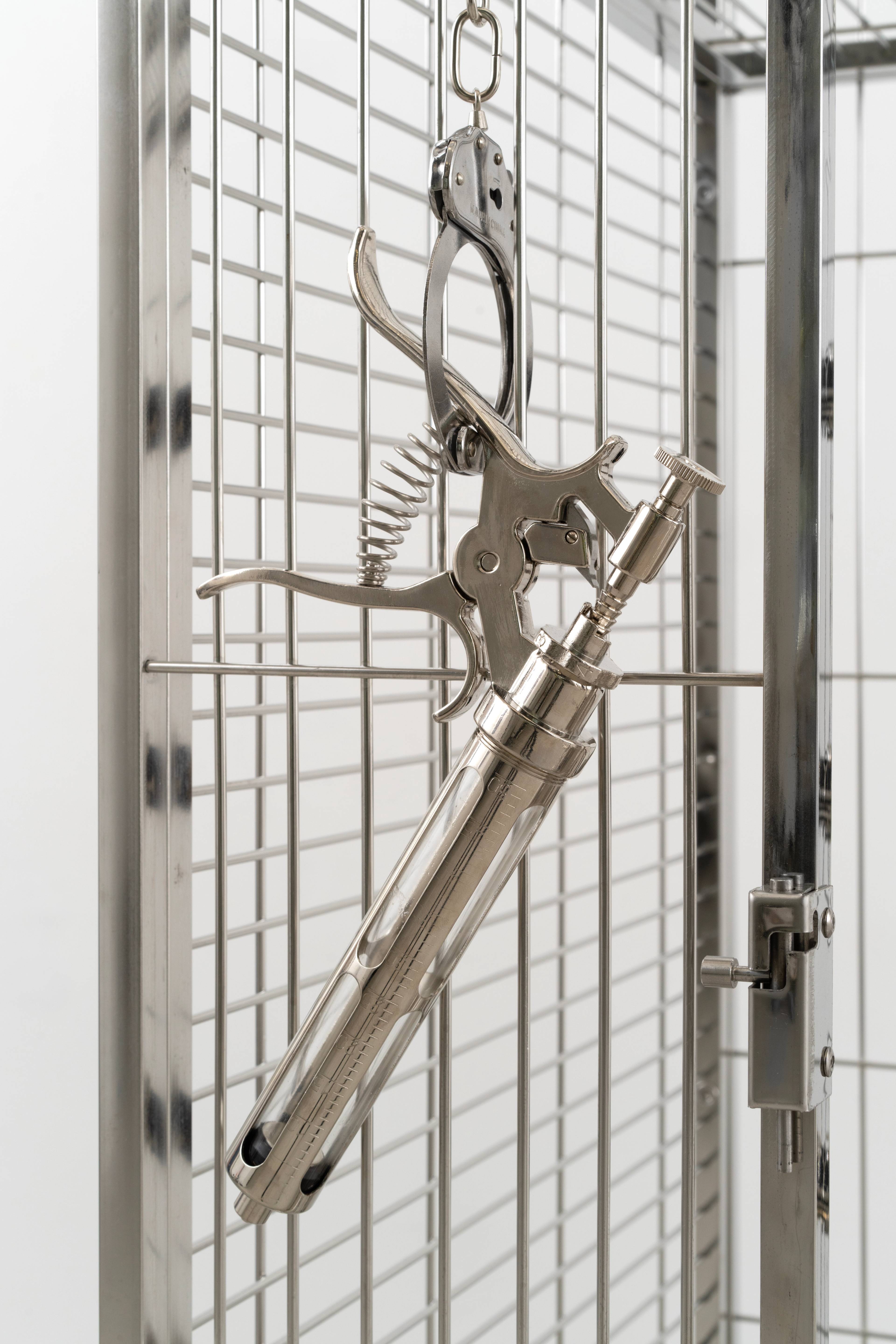 Media © Sweetwater 2025