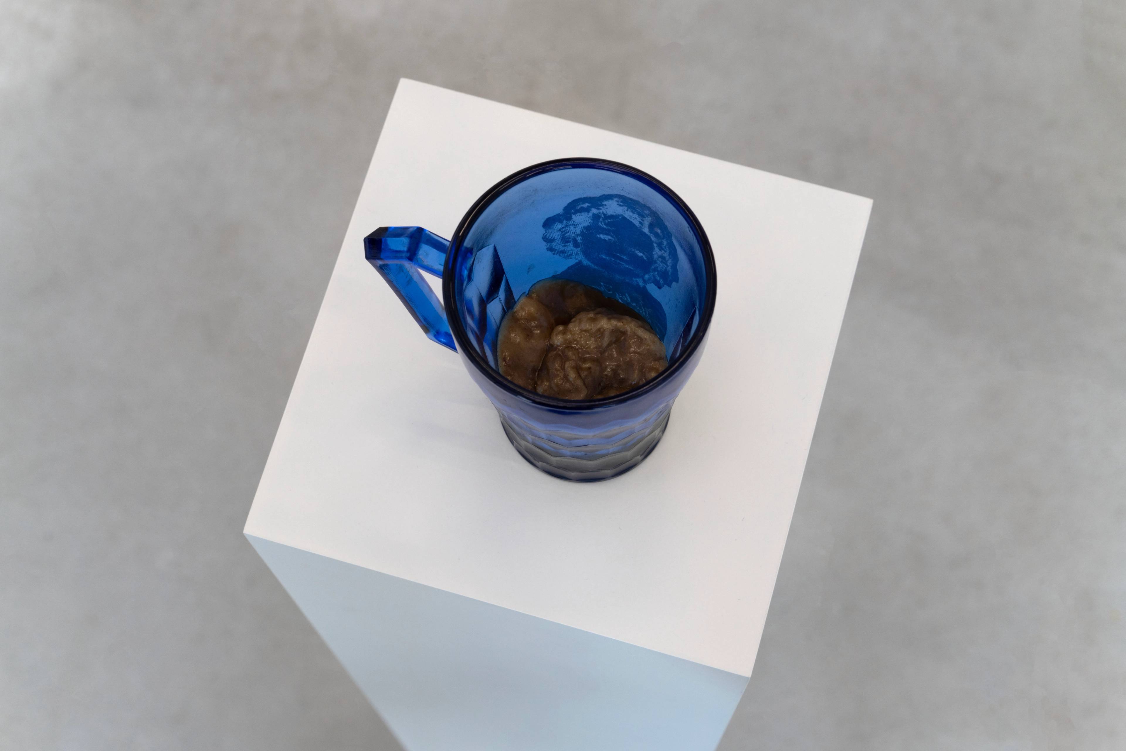 Media © Sweetwater 2025