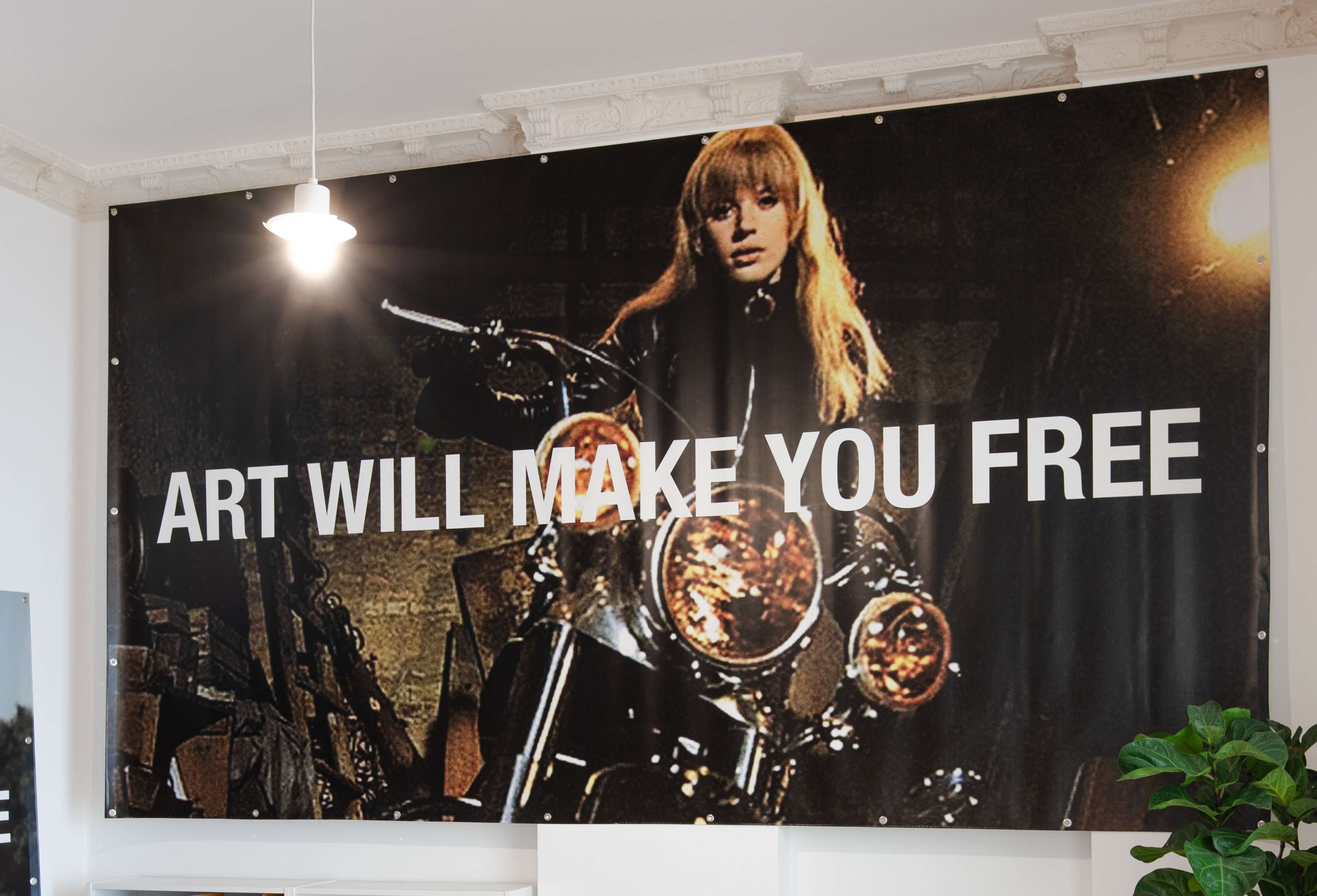 Media © Sweetwater 2025