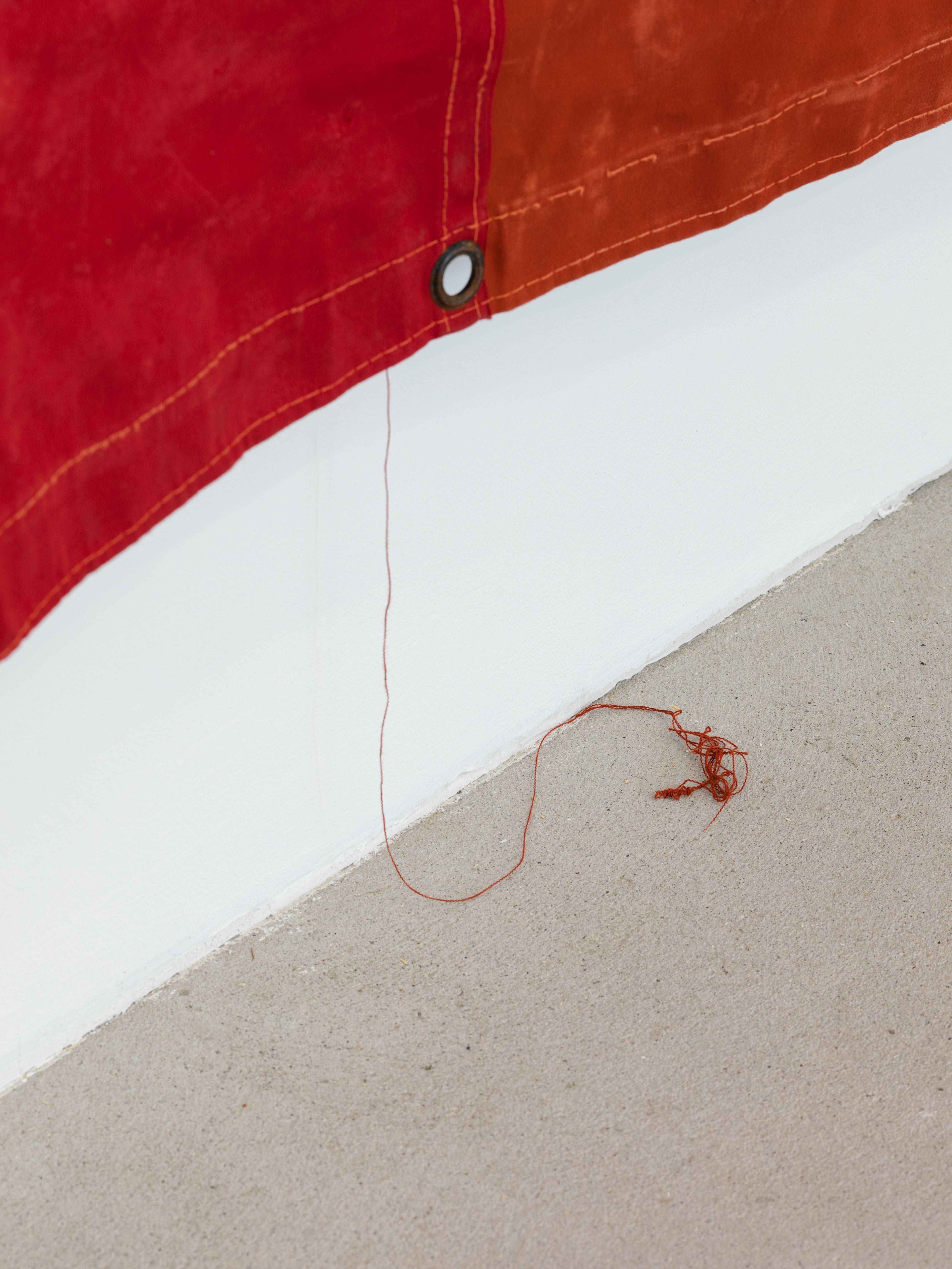 Media © Sweetwater 2025