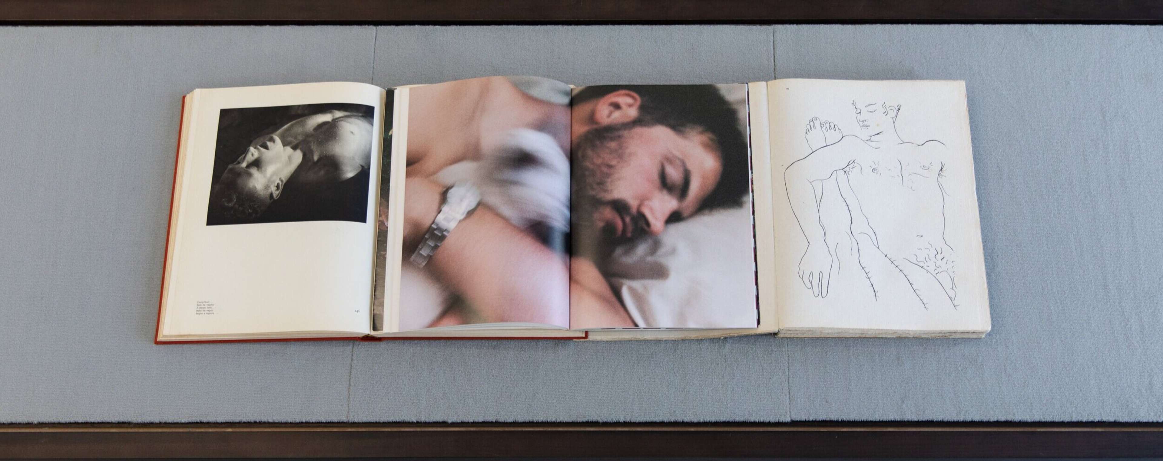 Media © Sweetwater 2025