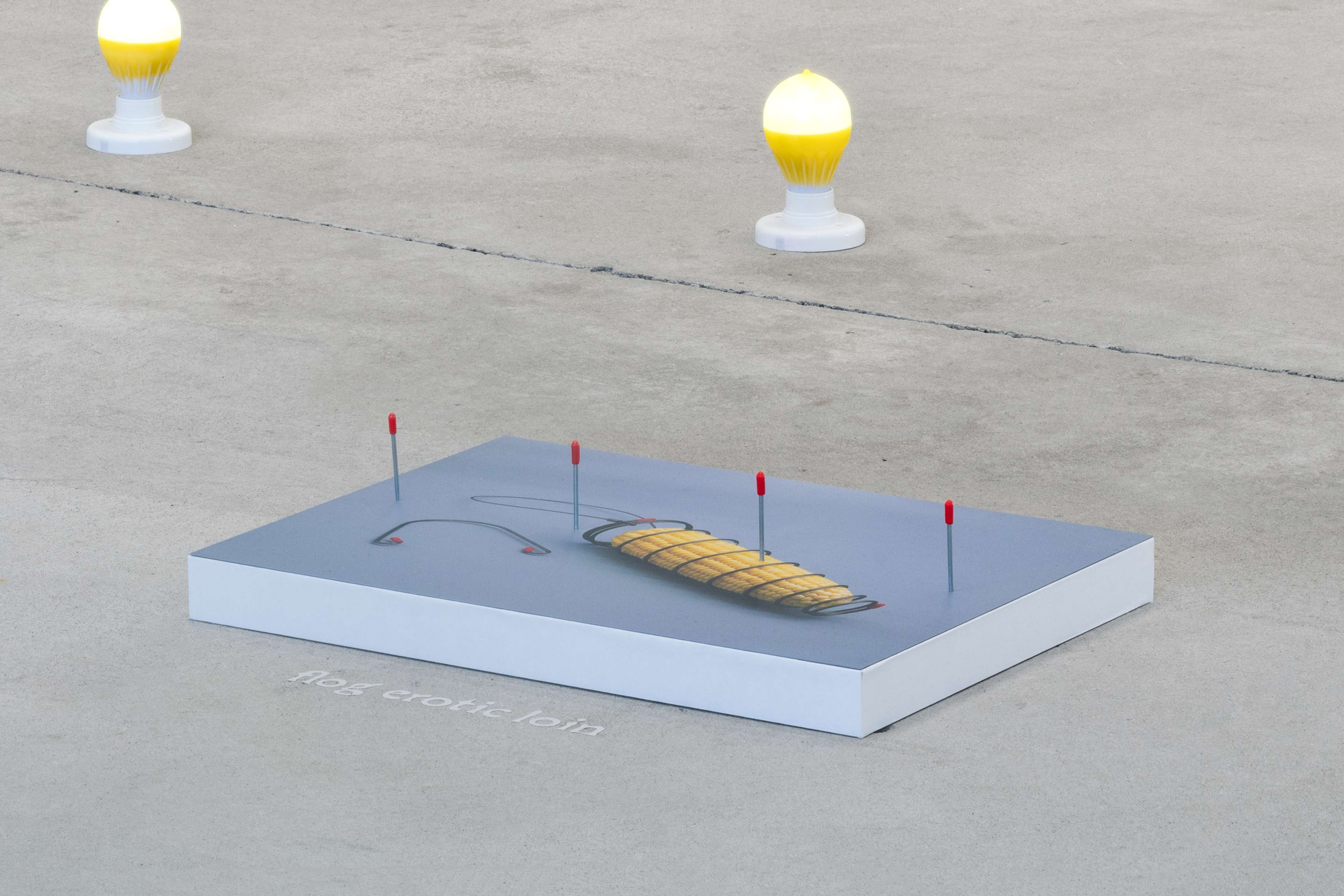 Media © Sweetwater 2025