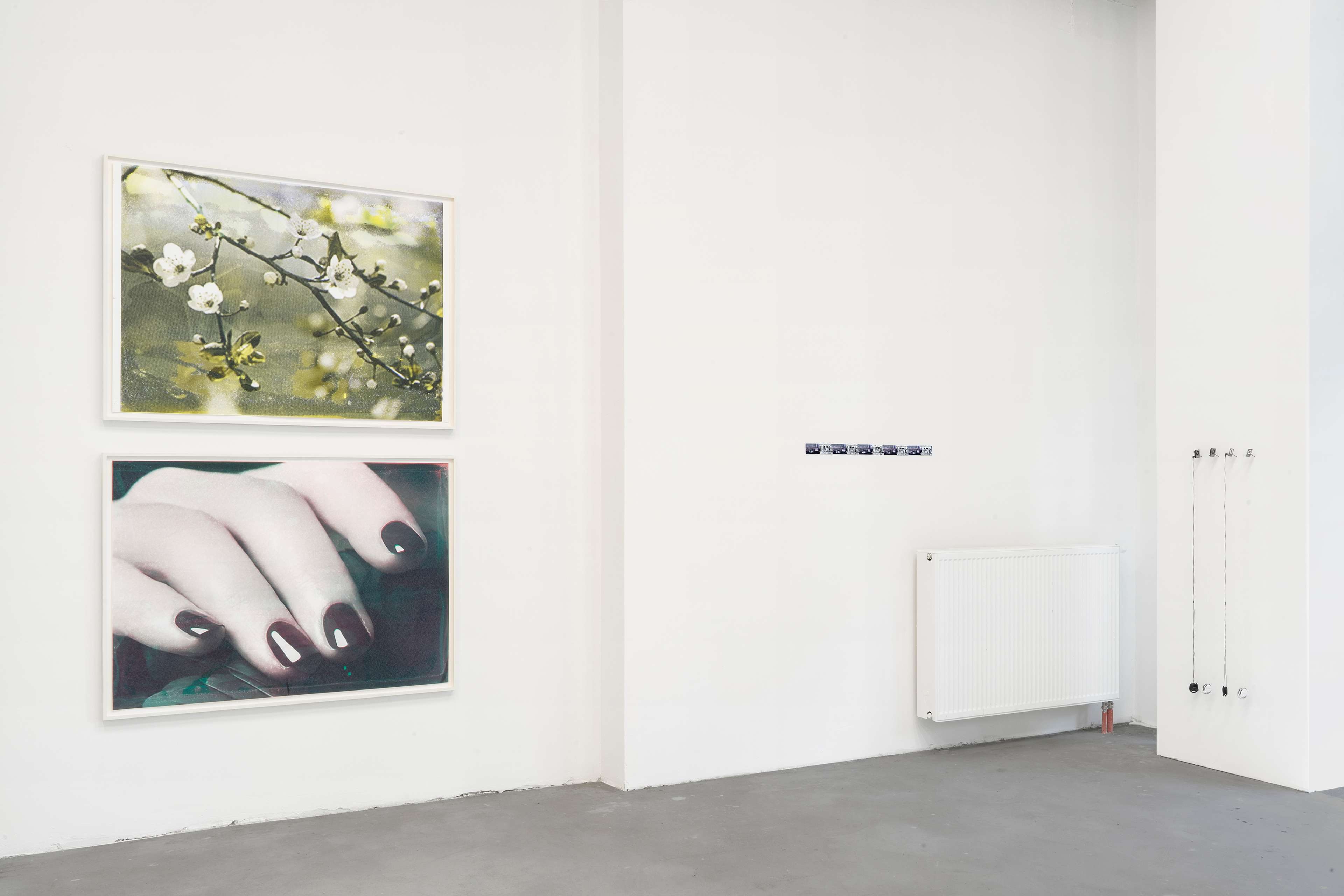 Media © Sweetwater 2025