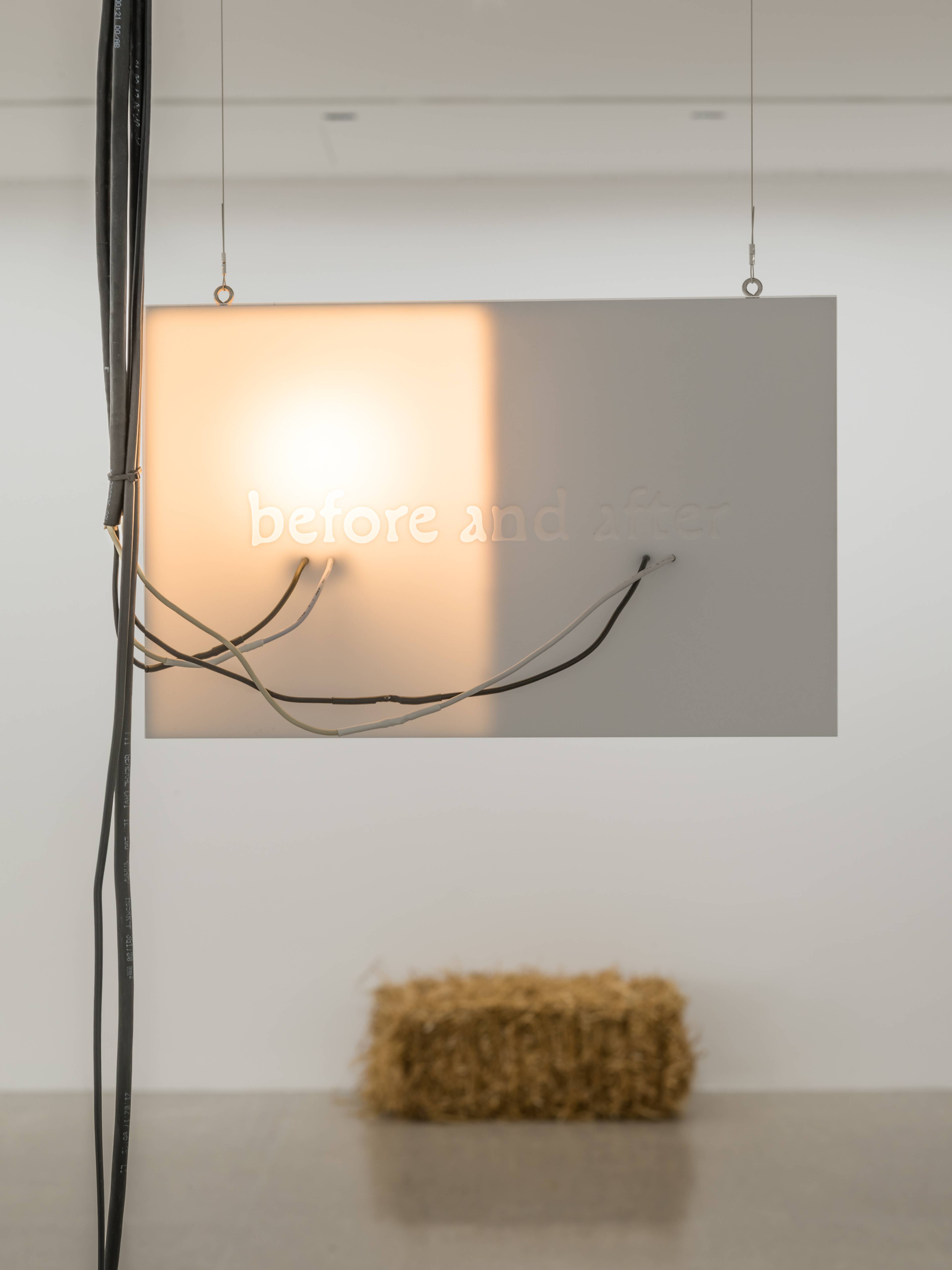 Media © Sweetwater 2025