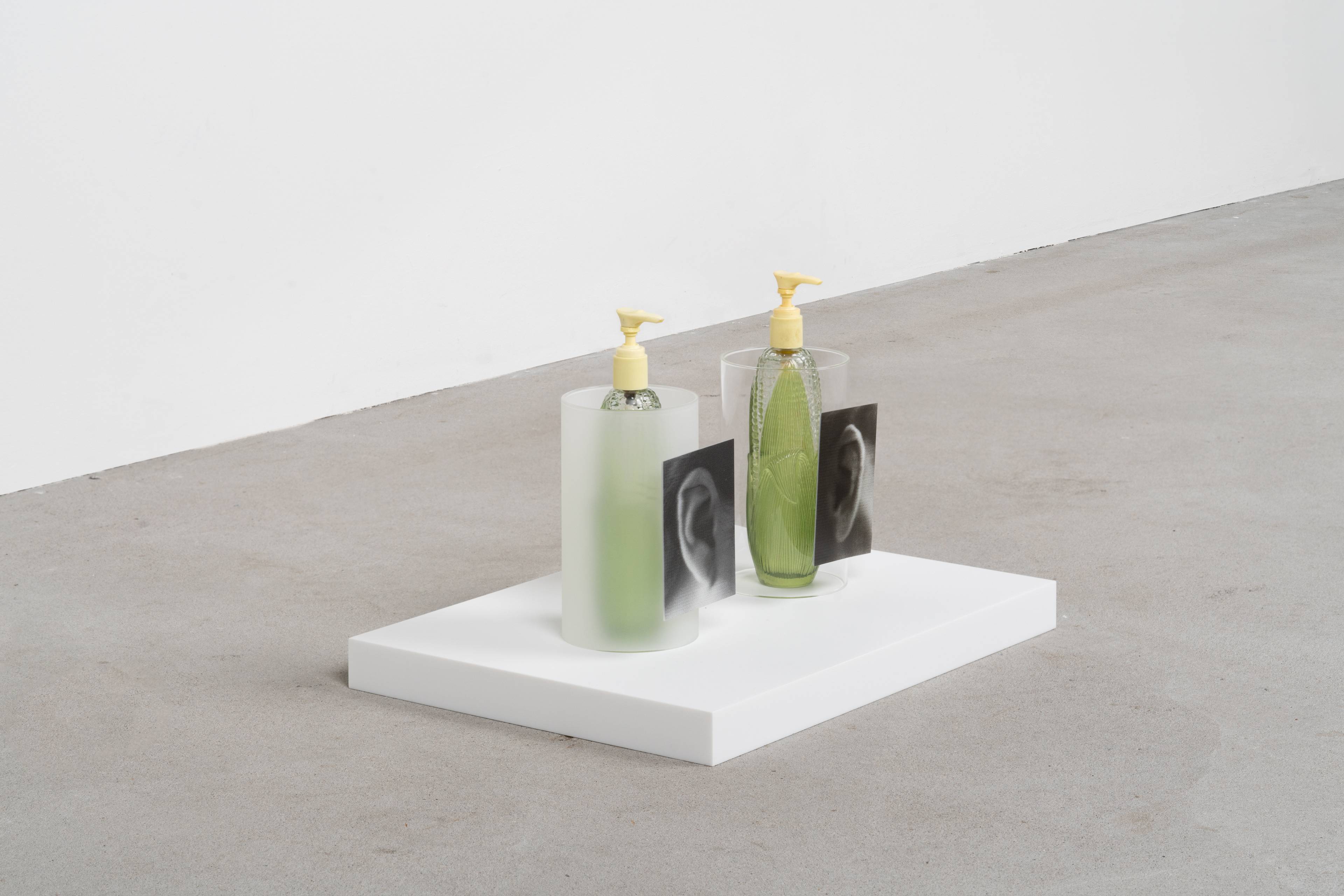 Media © Sweetwater 2025