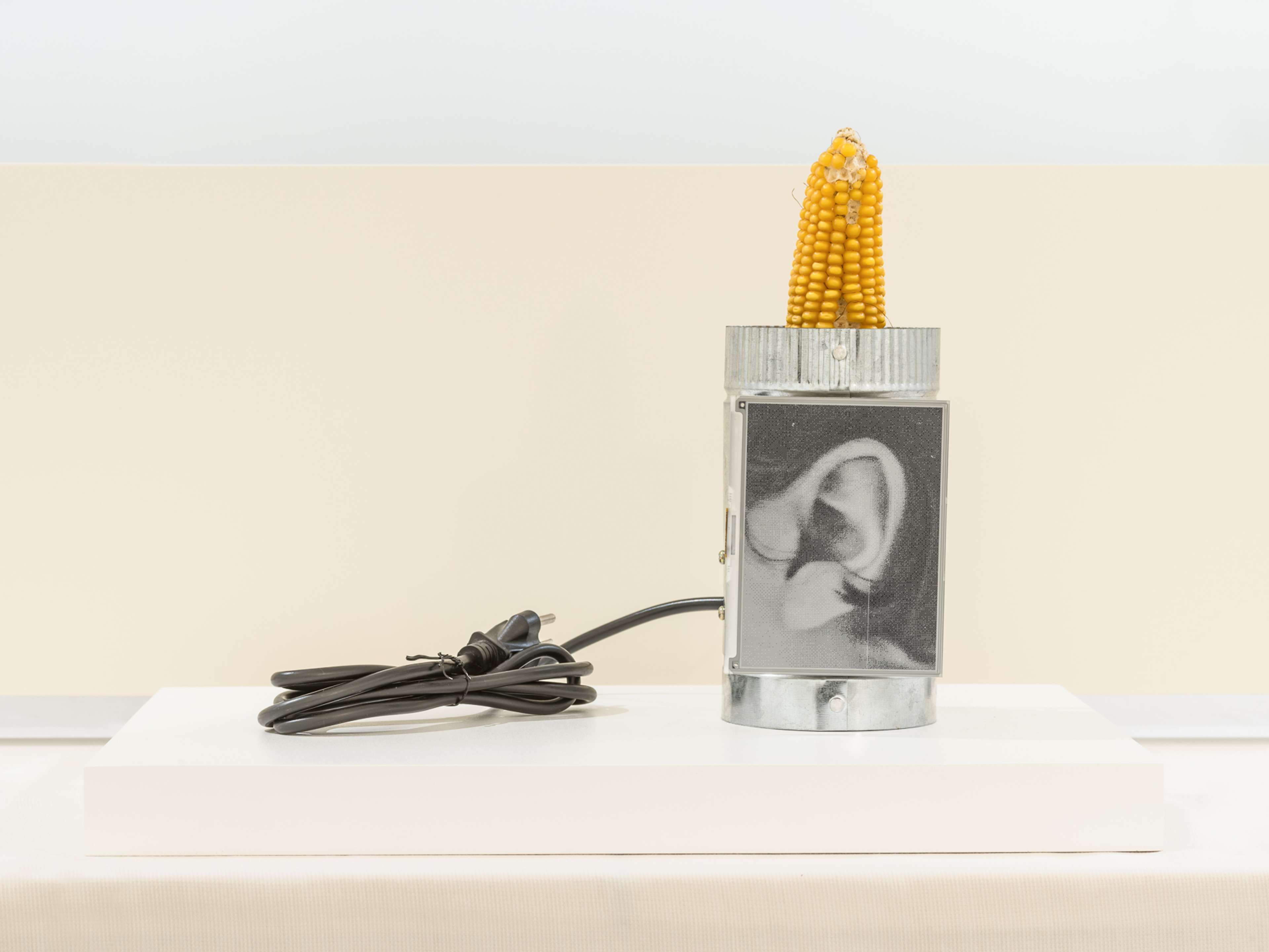 Media © Sweetwater 2025