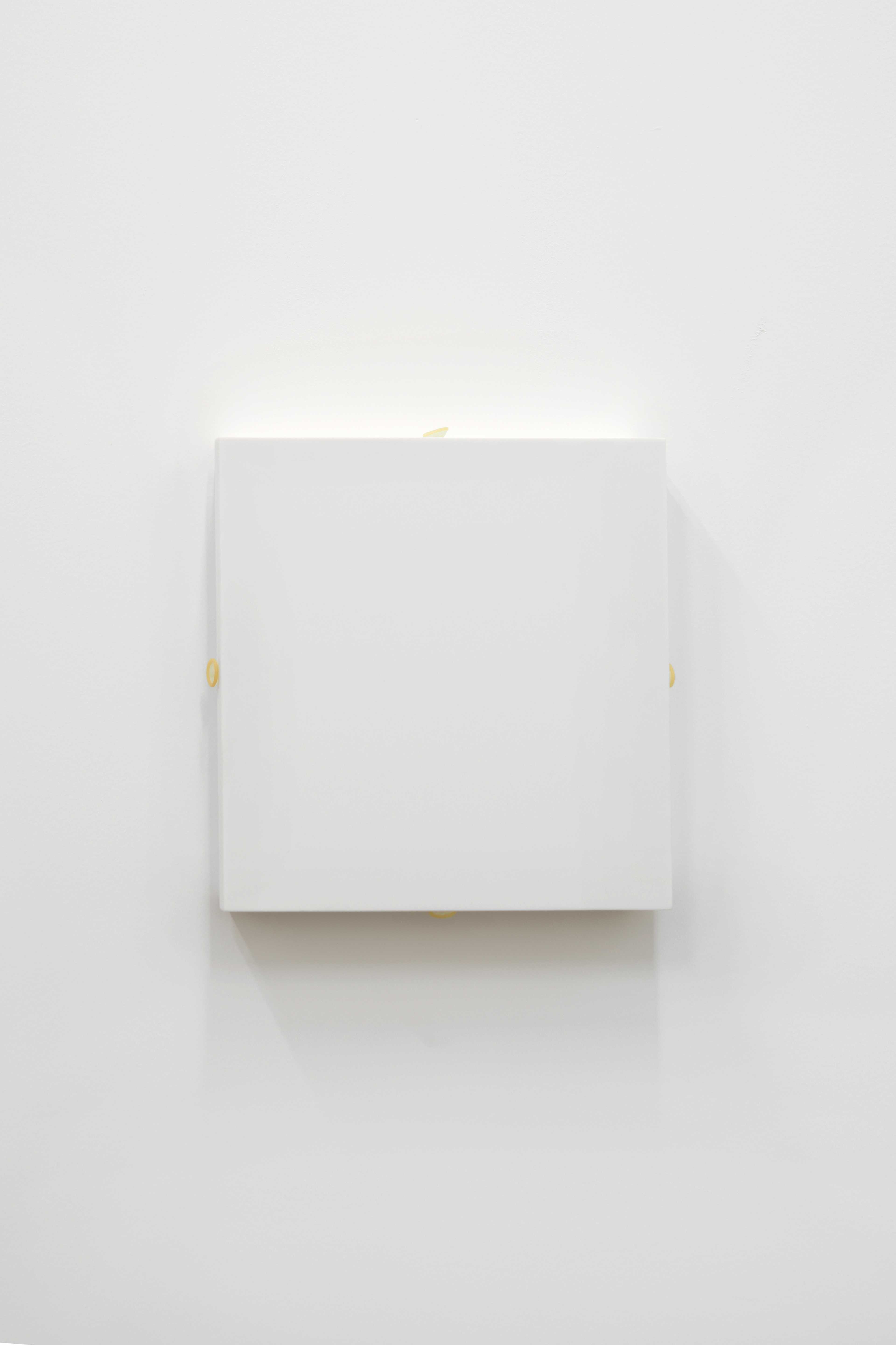 Jesse Stecklow
