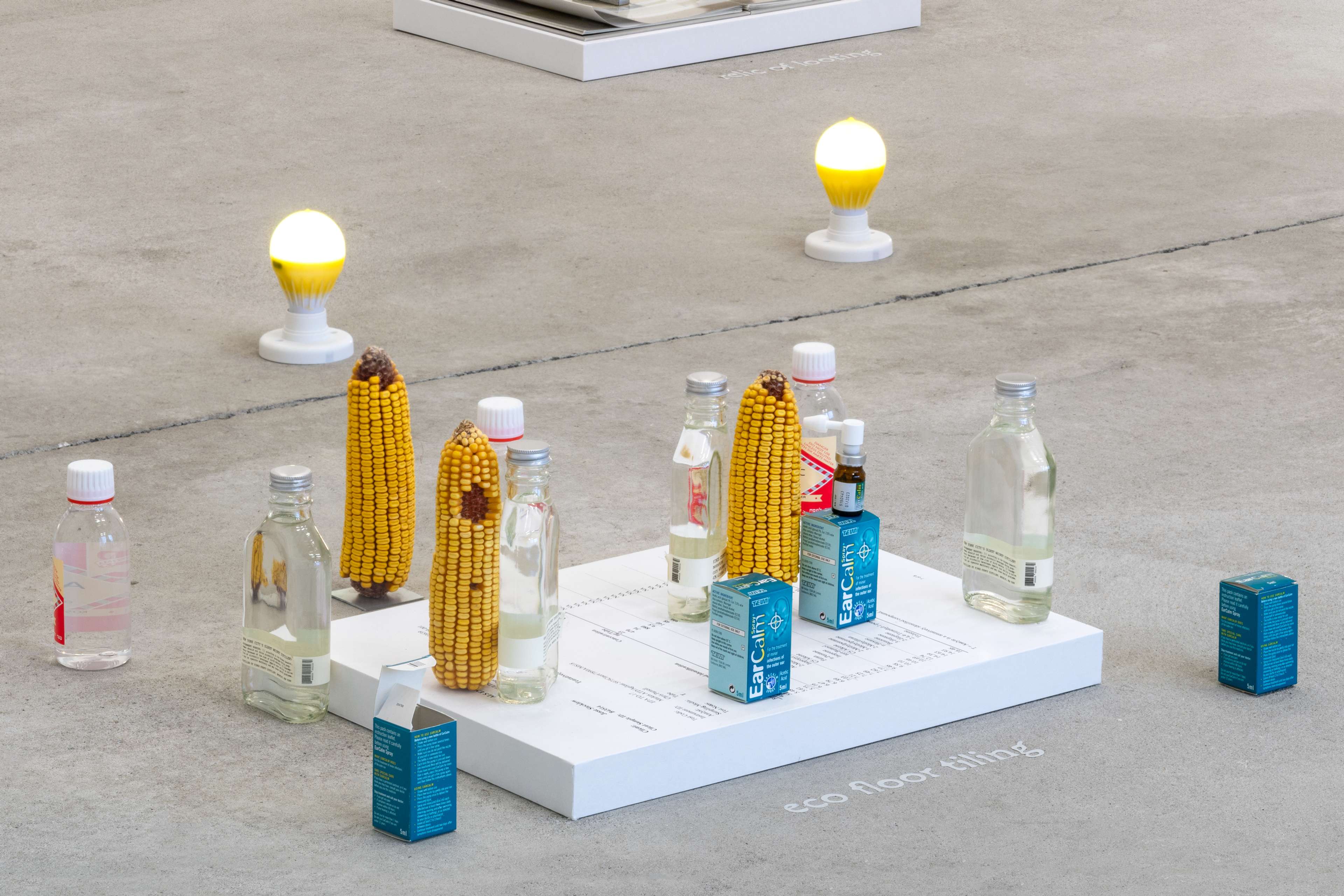 Media © Sweetwater 2025