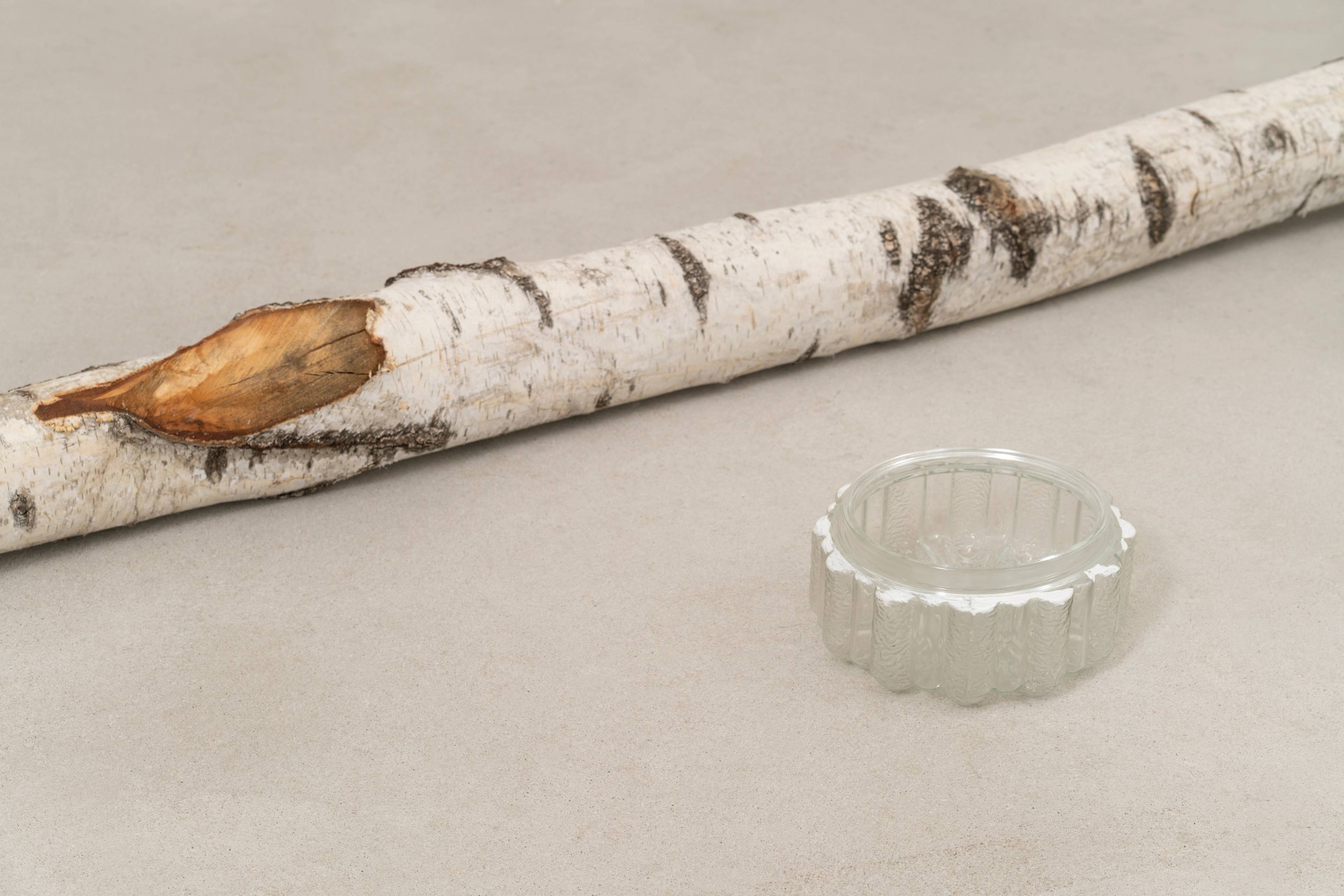 Media © Sweetwater 2025