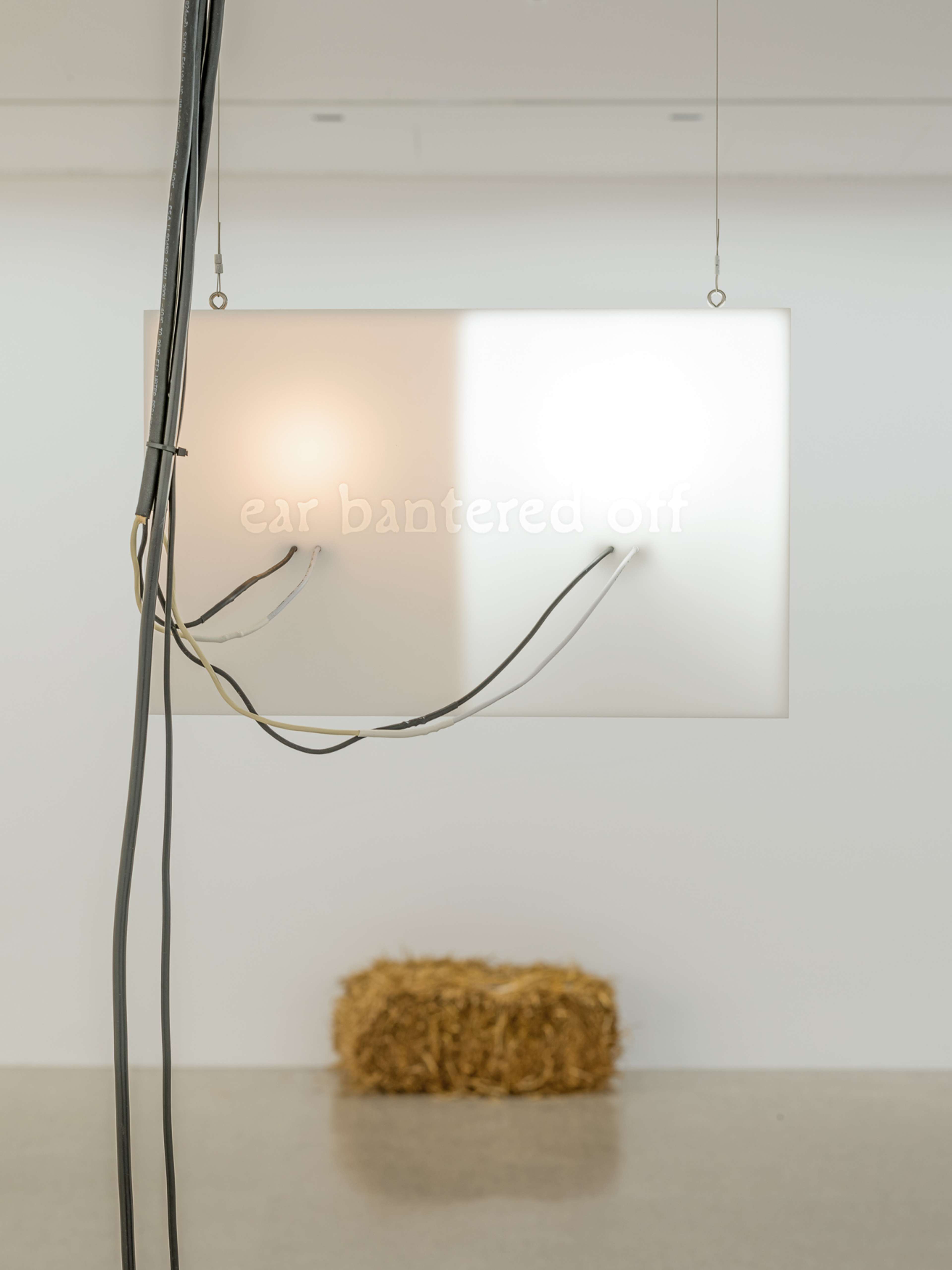 Media © Sweetwater 2025