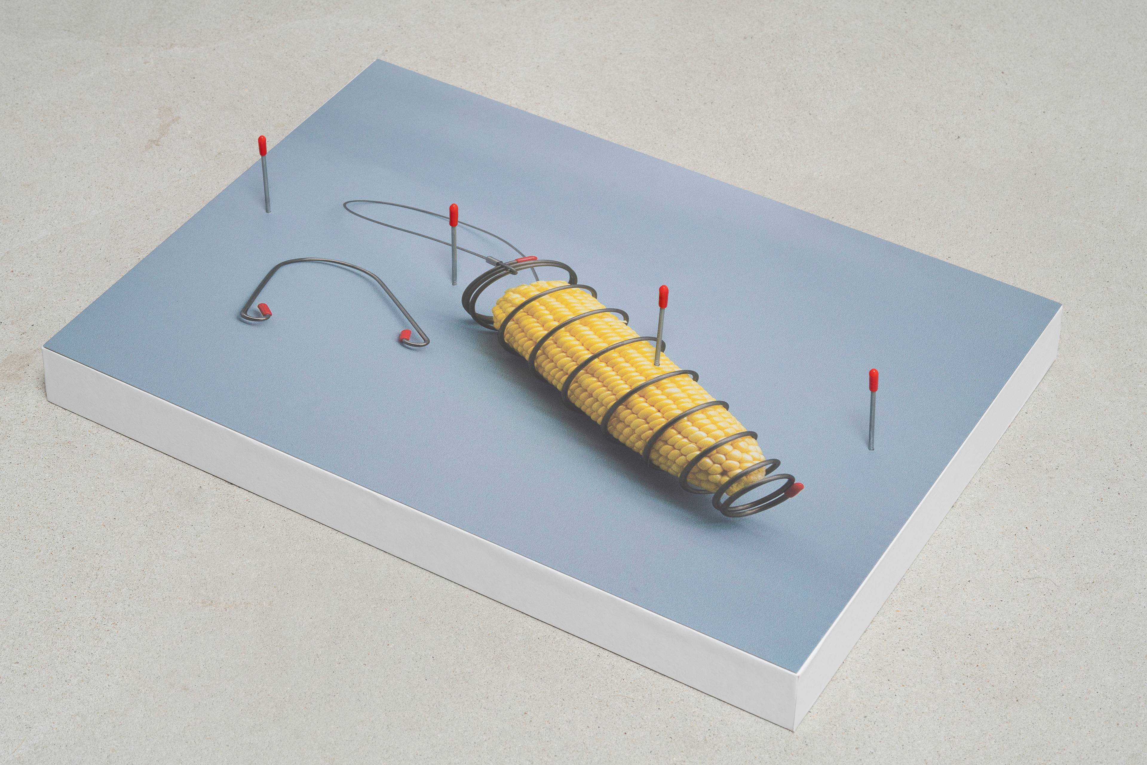 Media © Sweetwater 2025