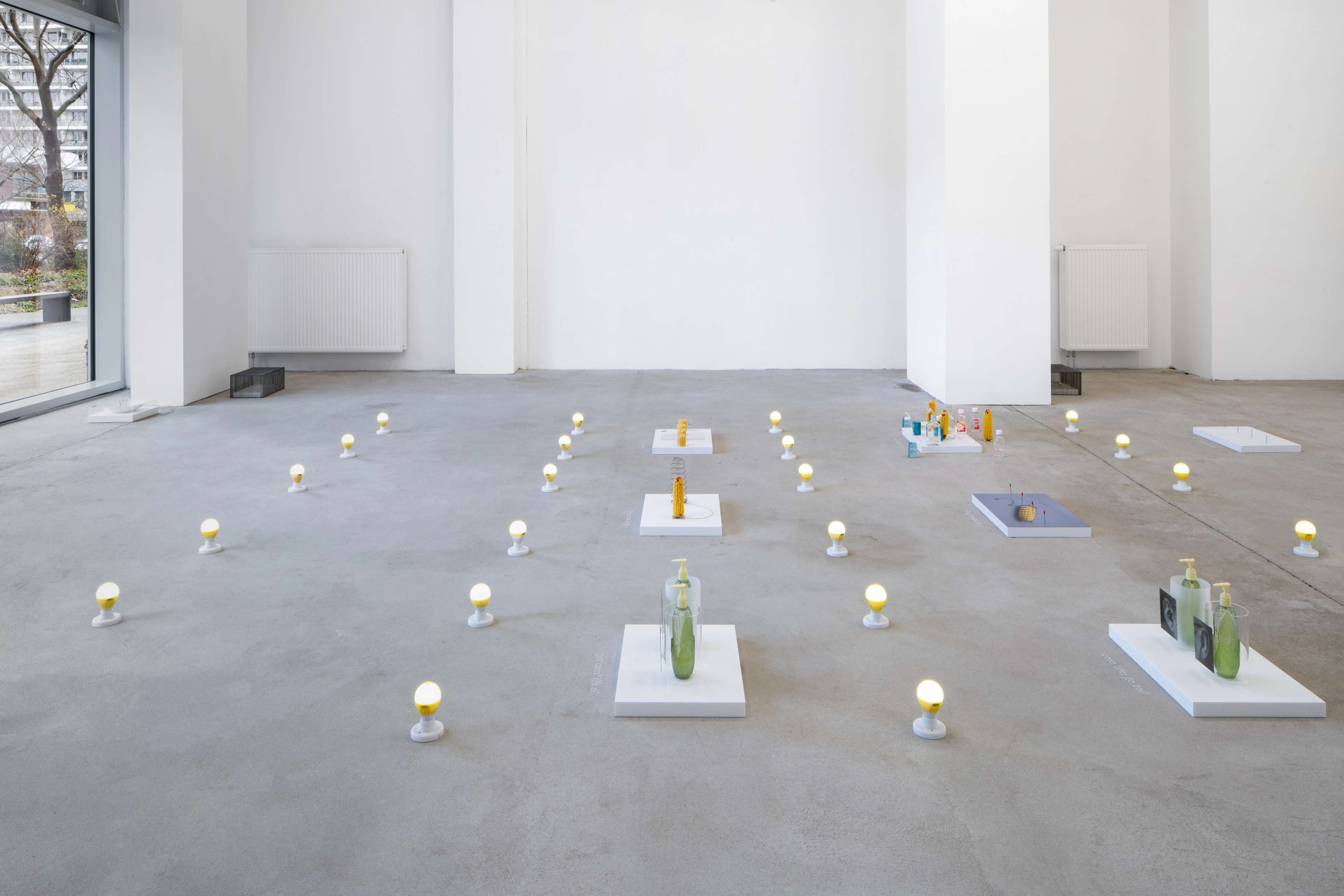 Media © Sweetwater 2025