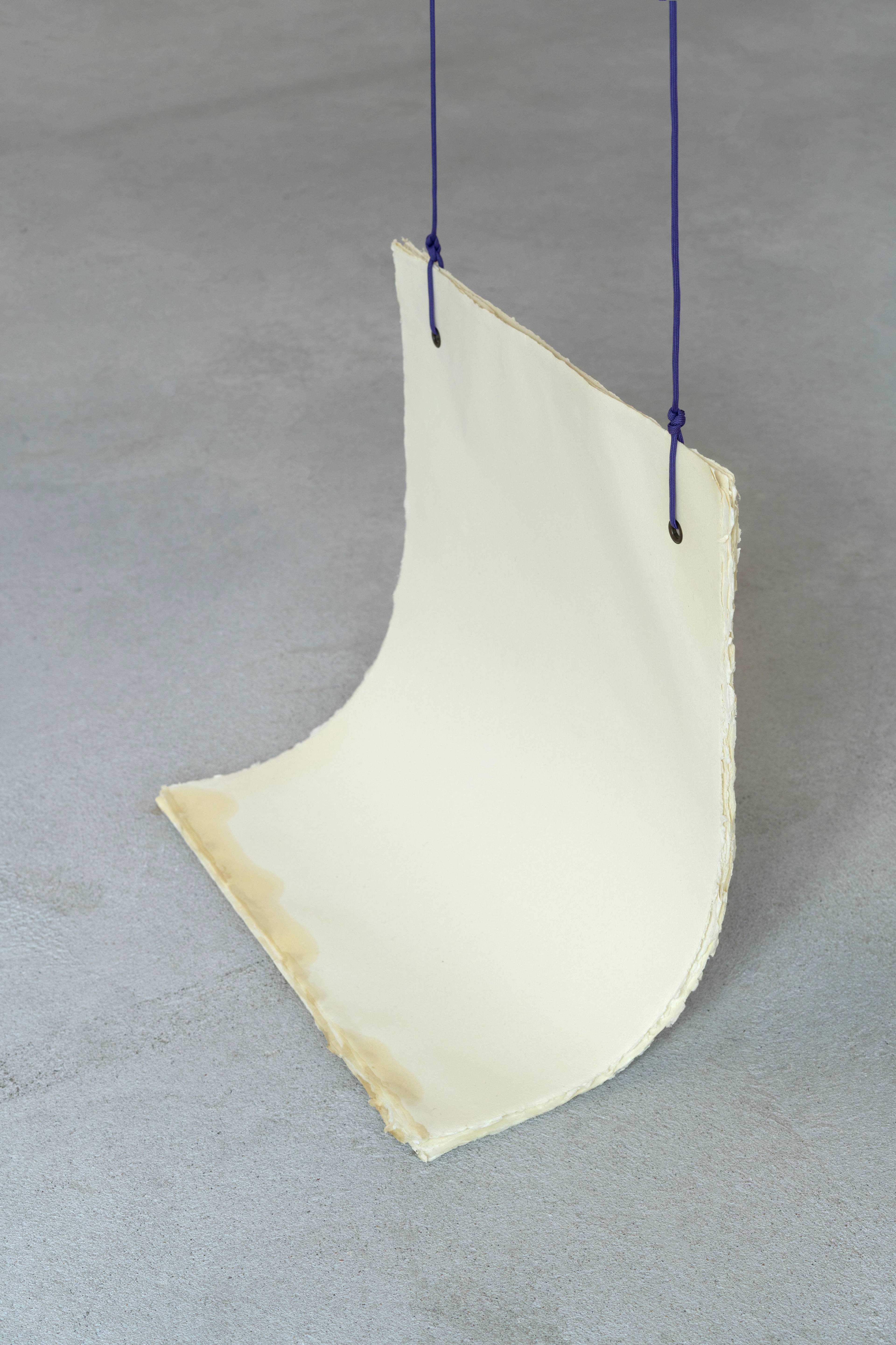 Media © Sweetwater 2025