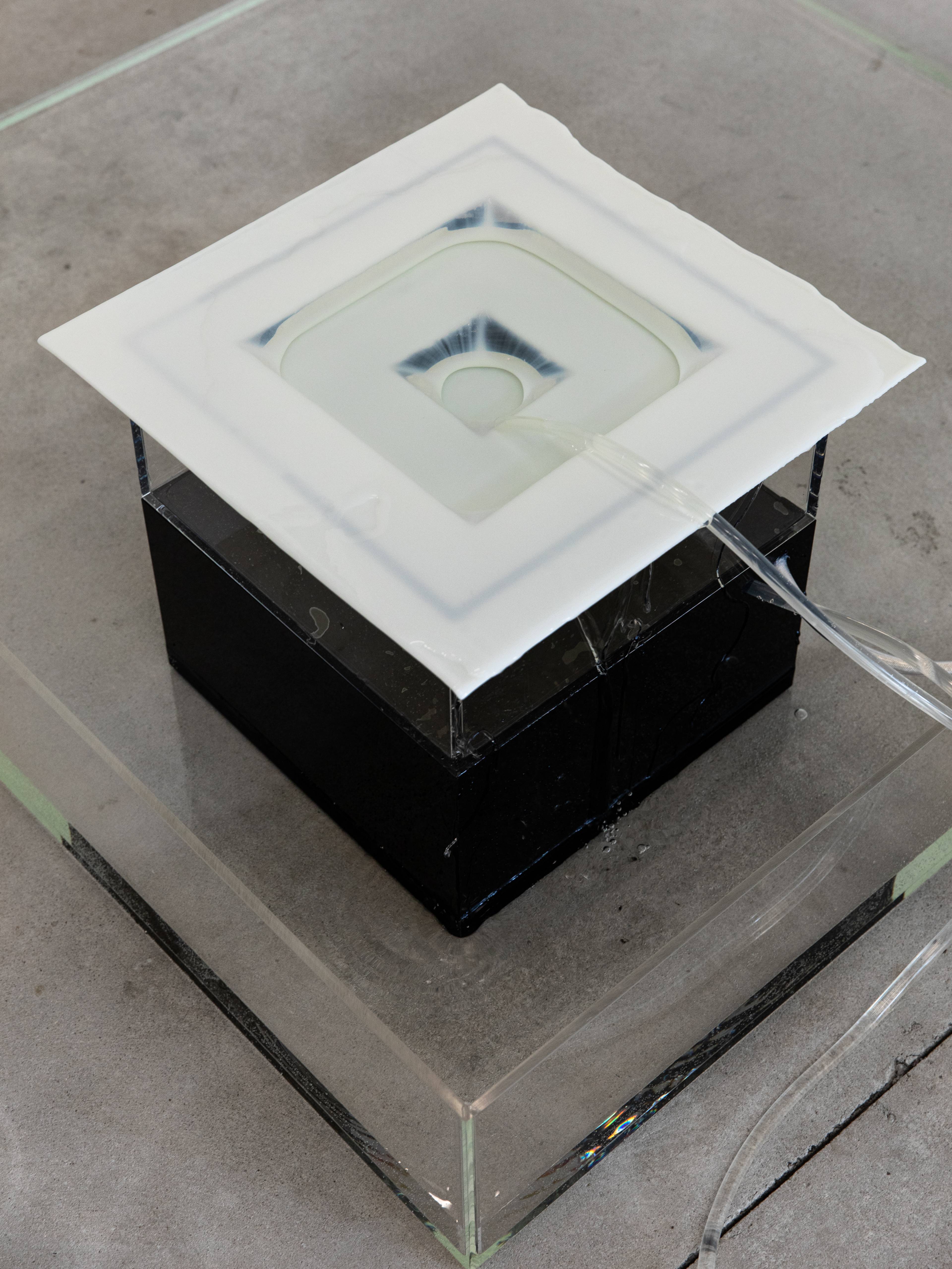 Media © Sweetwater 2025