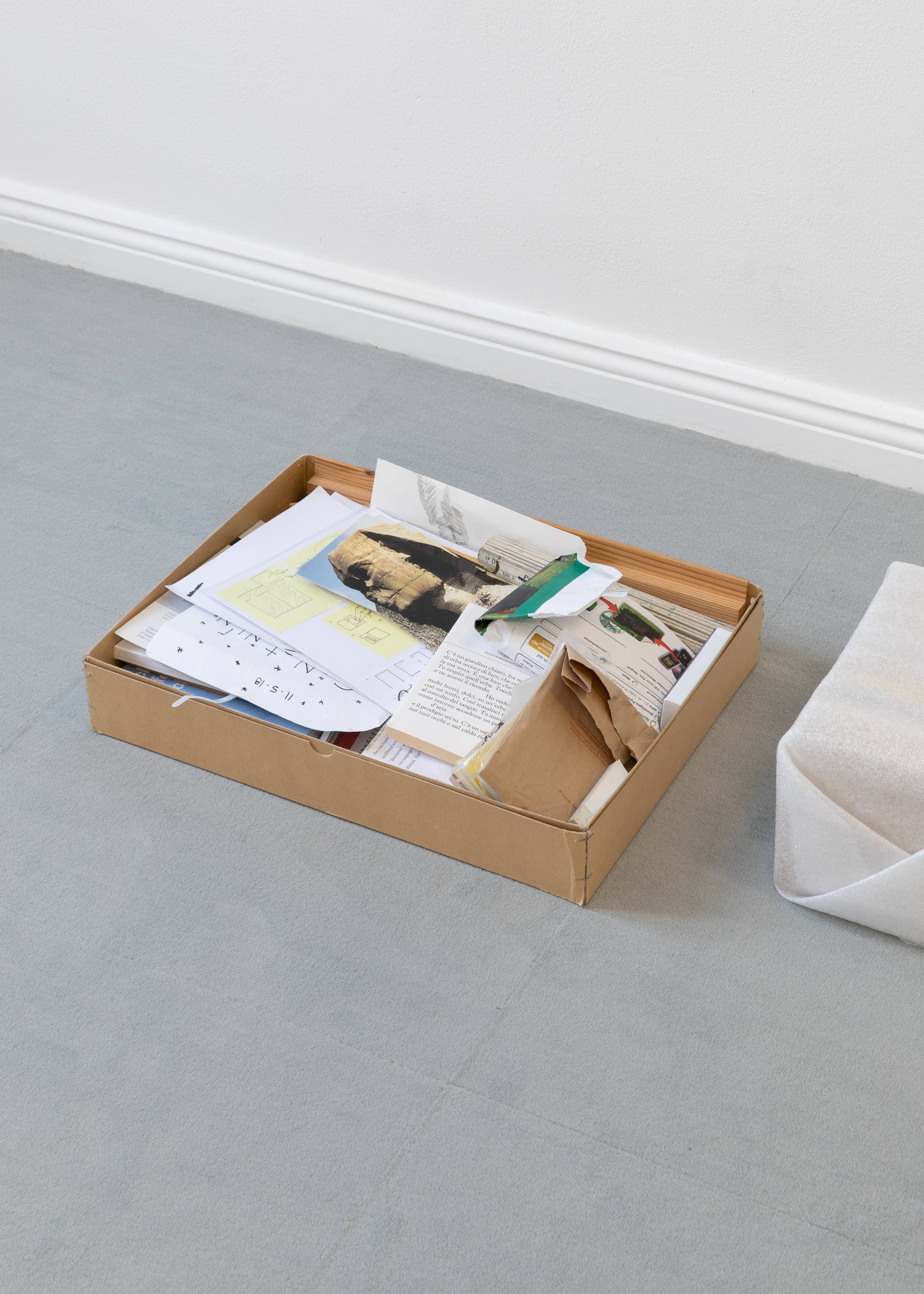 Media © Sweetwater 2025