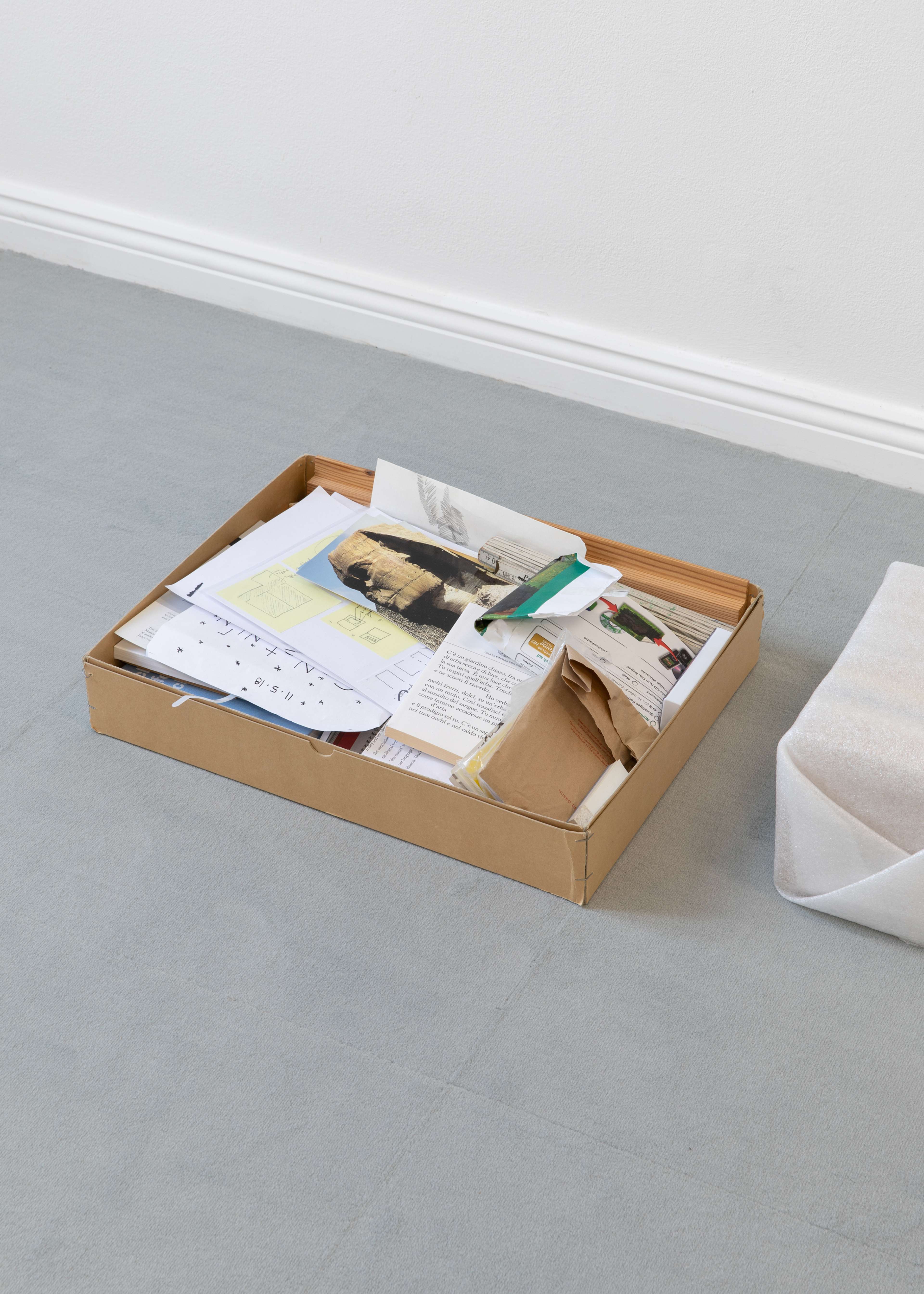 Media © Sweetwater 2025