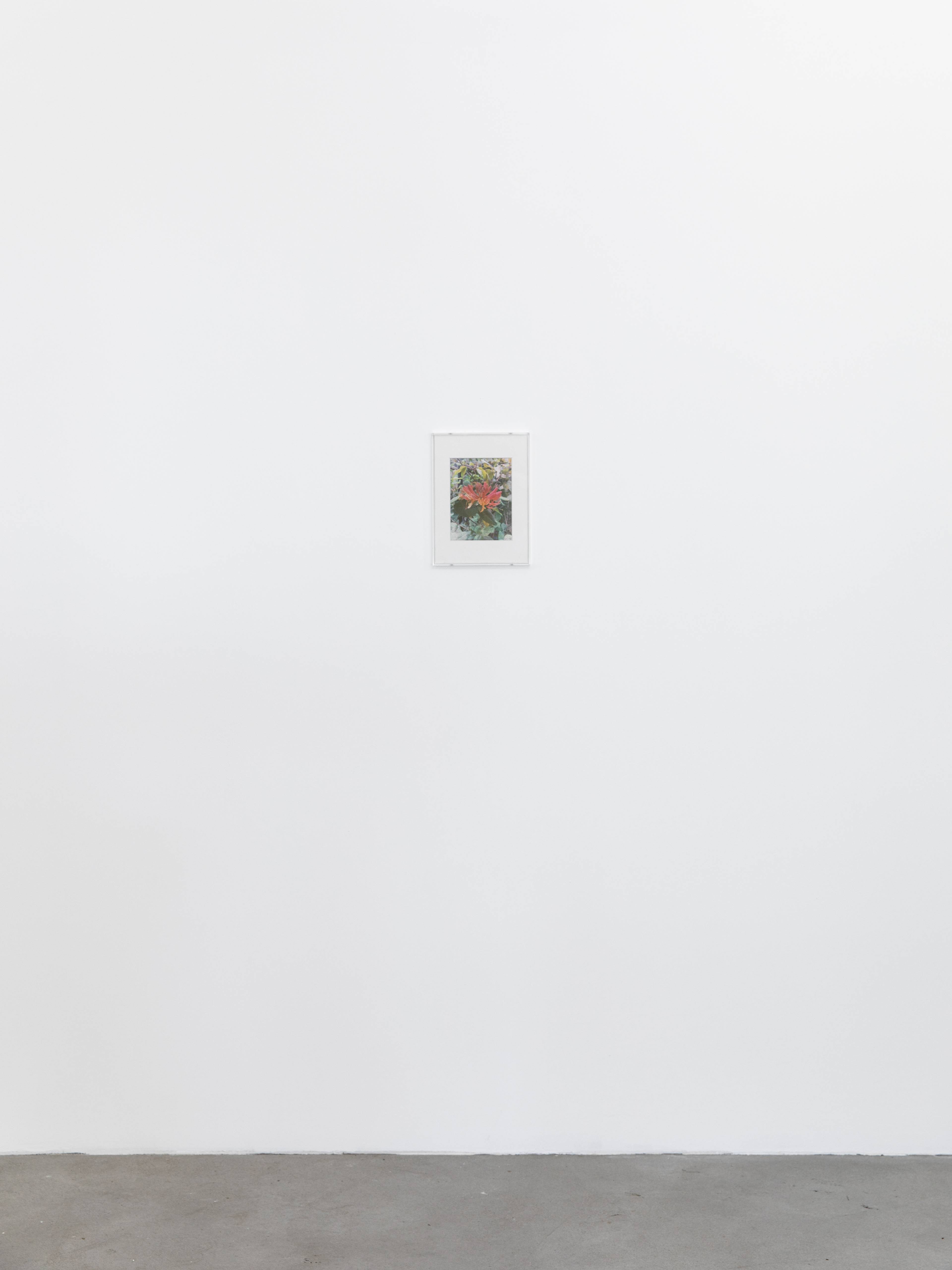 Media © Sweetwater 2025