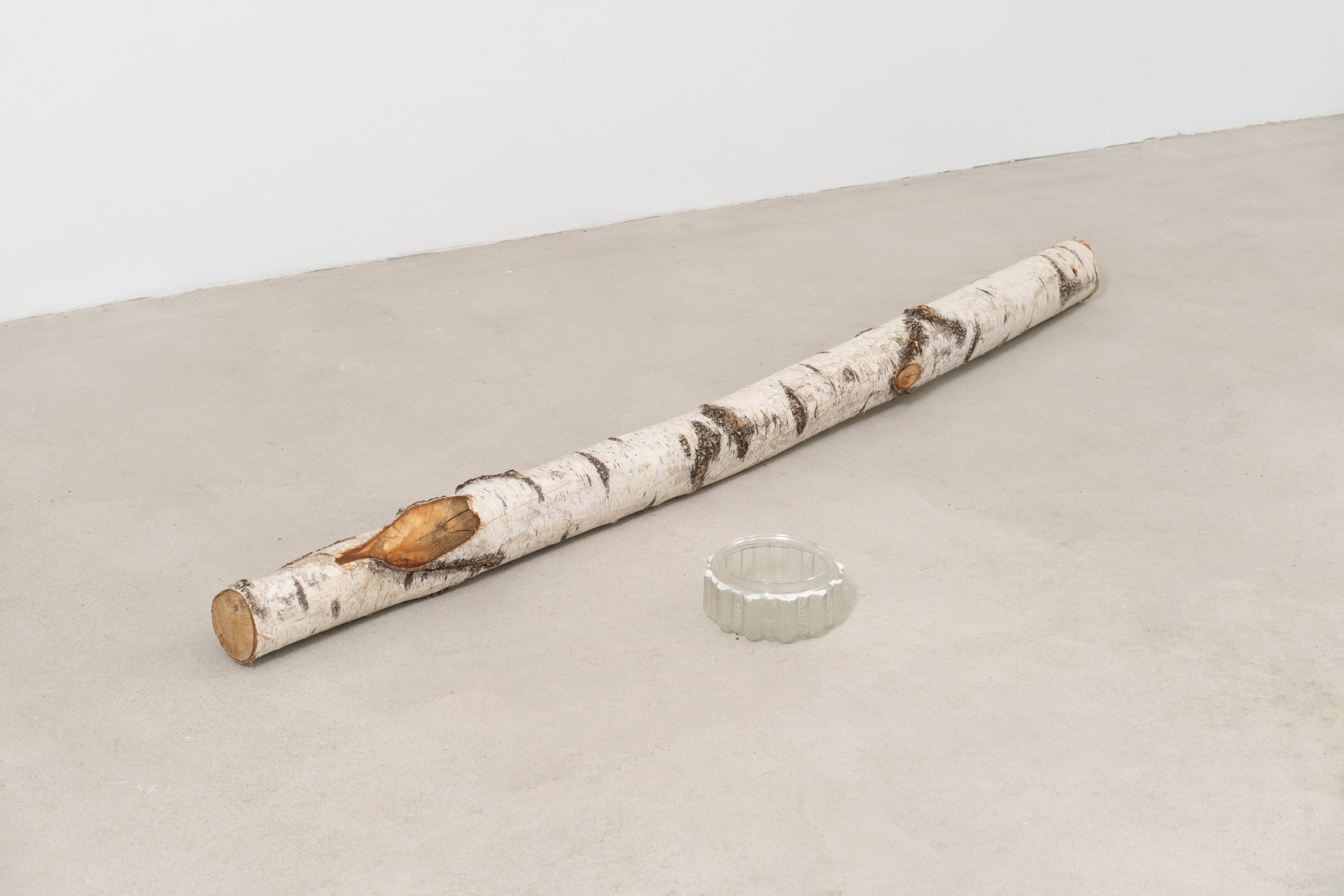 Media © Sweetwater 2025