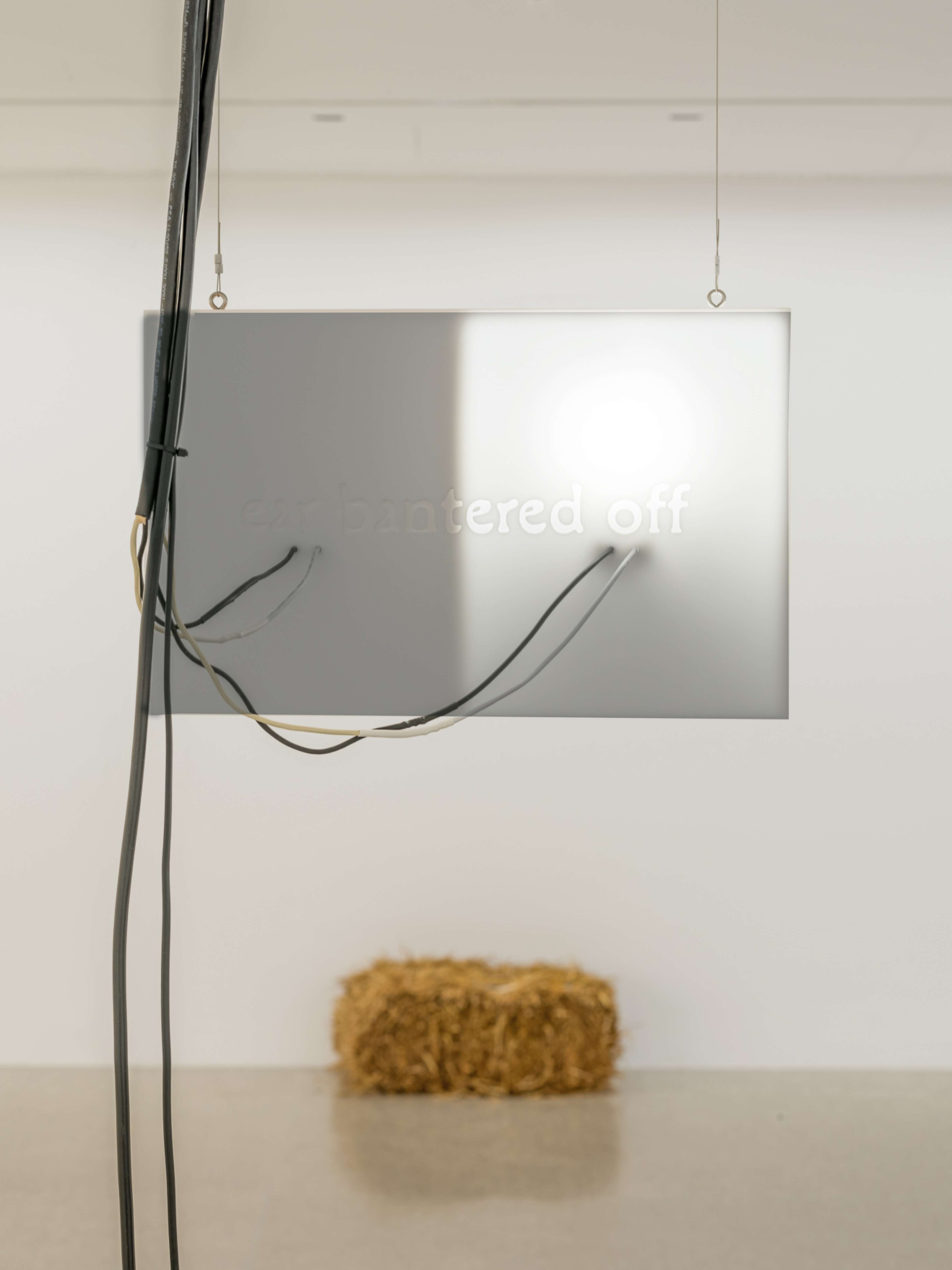 Media © Sweetwater 2025