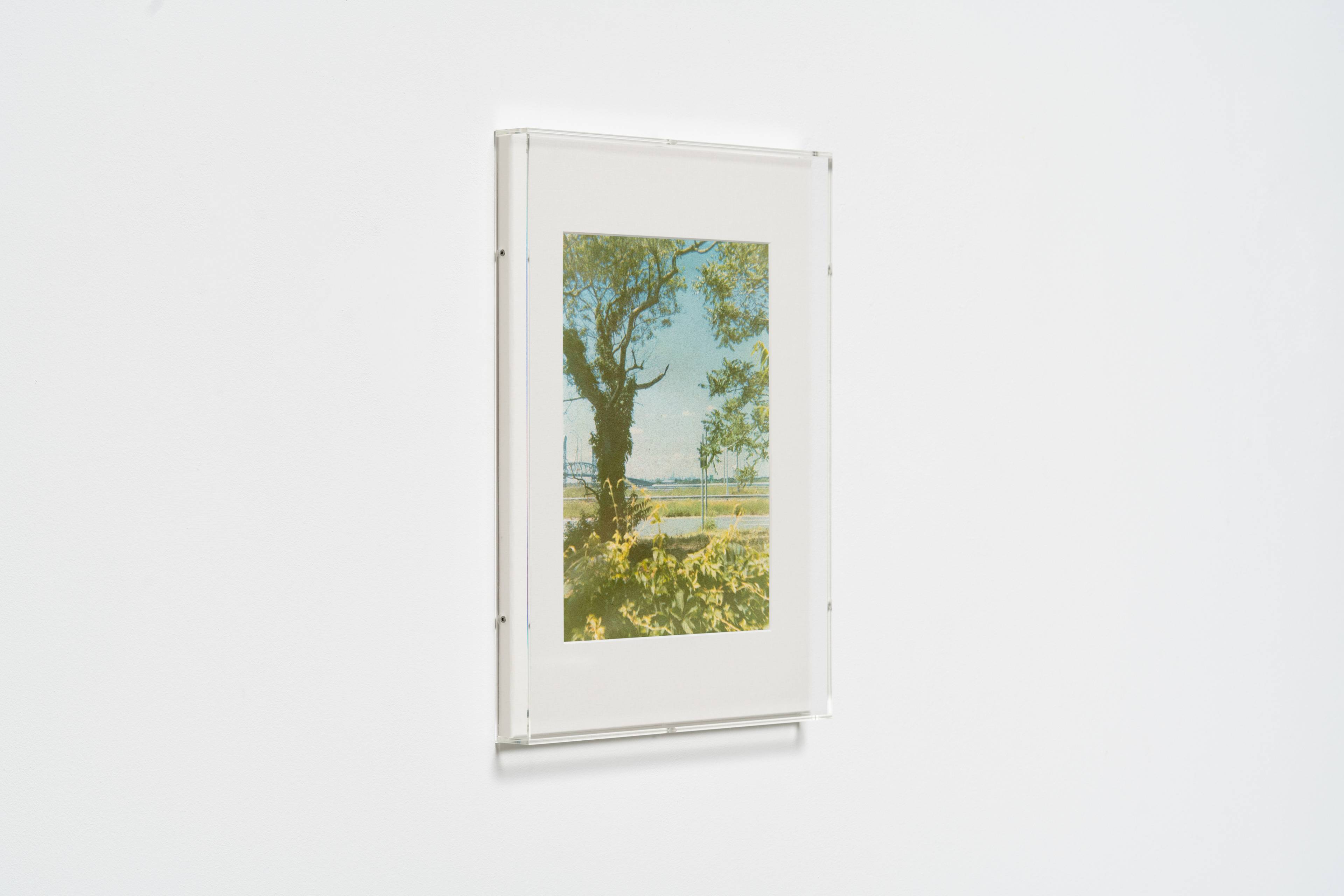 Media © Sweetwater 2025