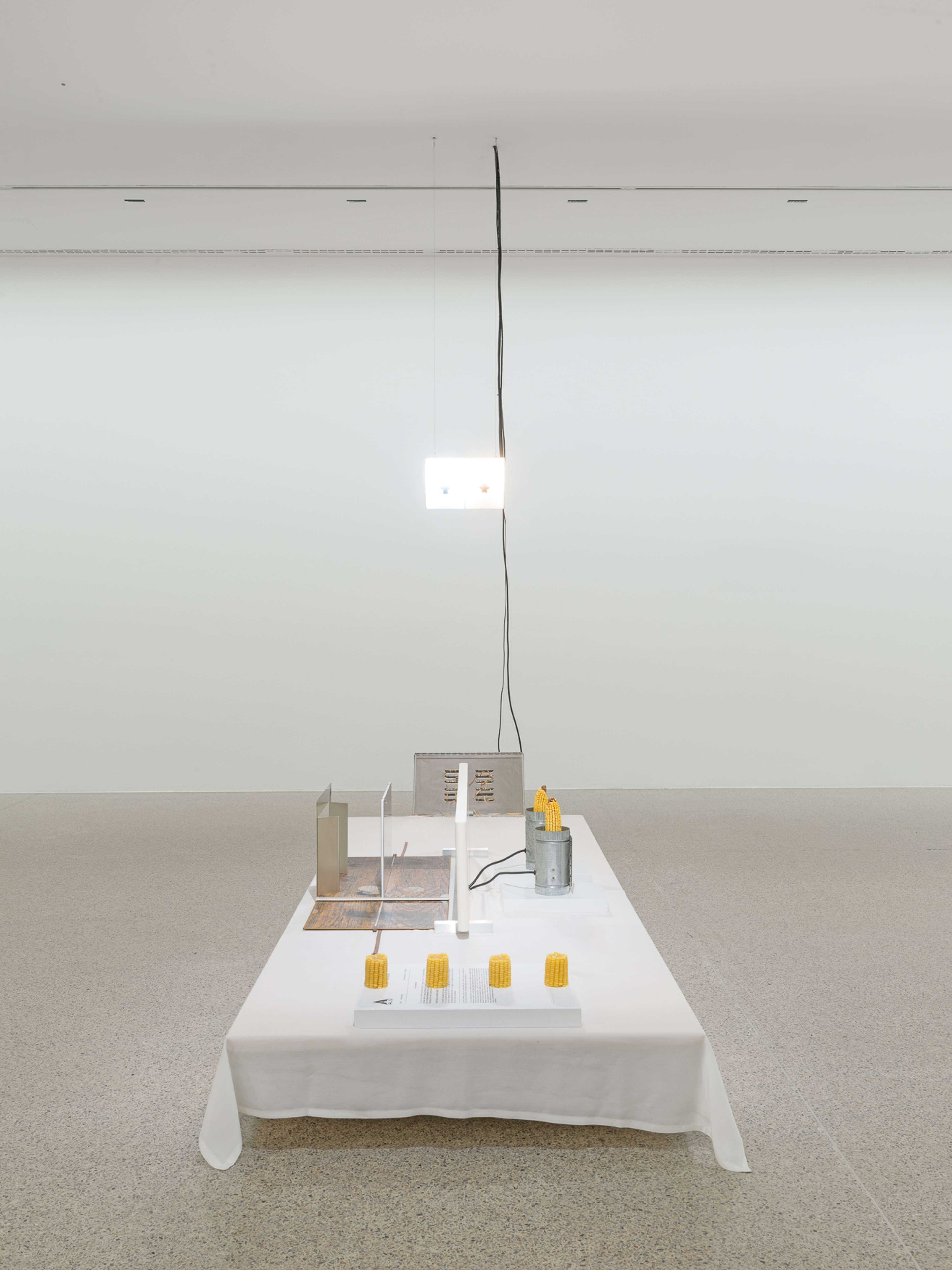 Media © Sweetwater 2025